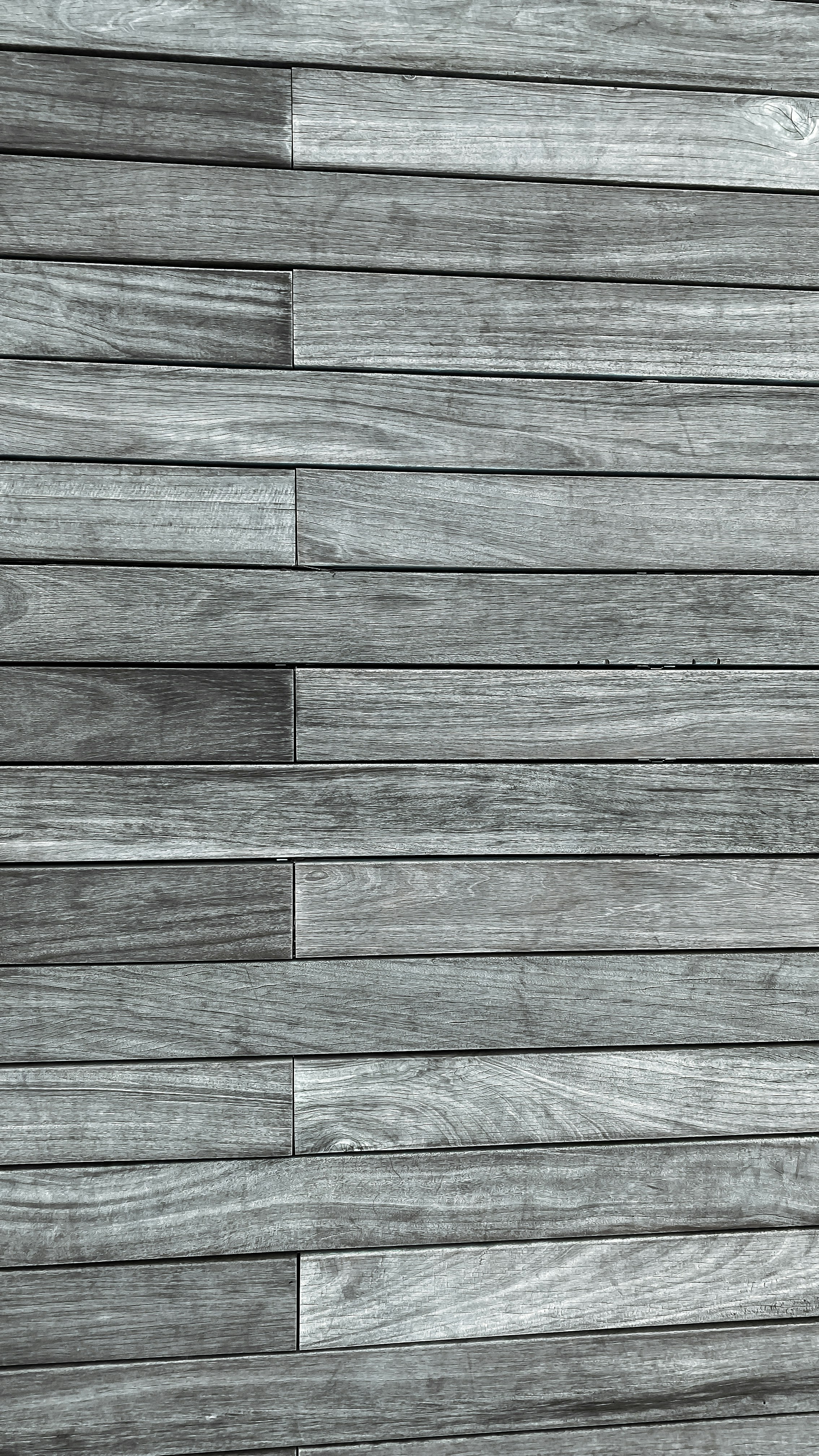 Photo by sachinbenny