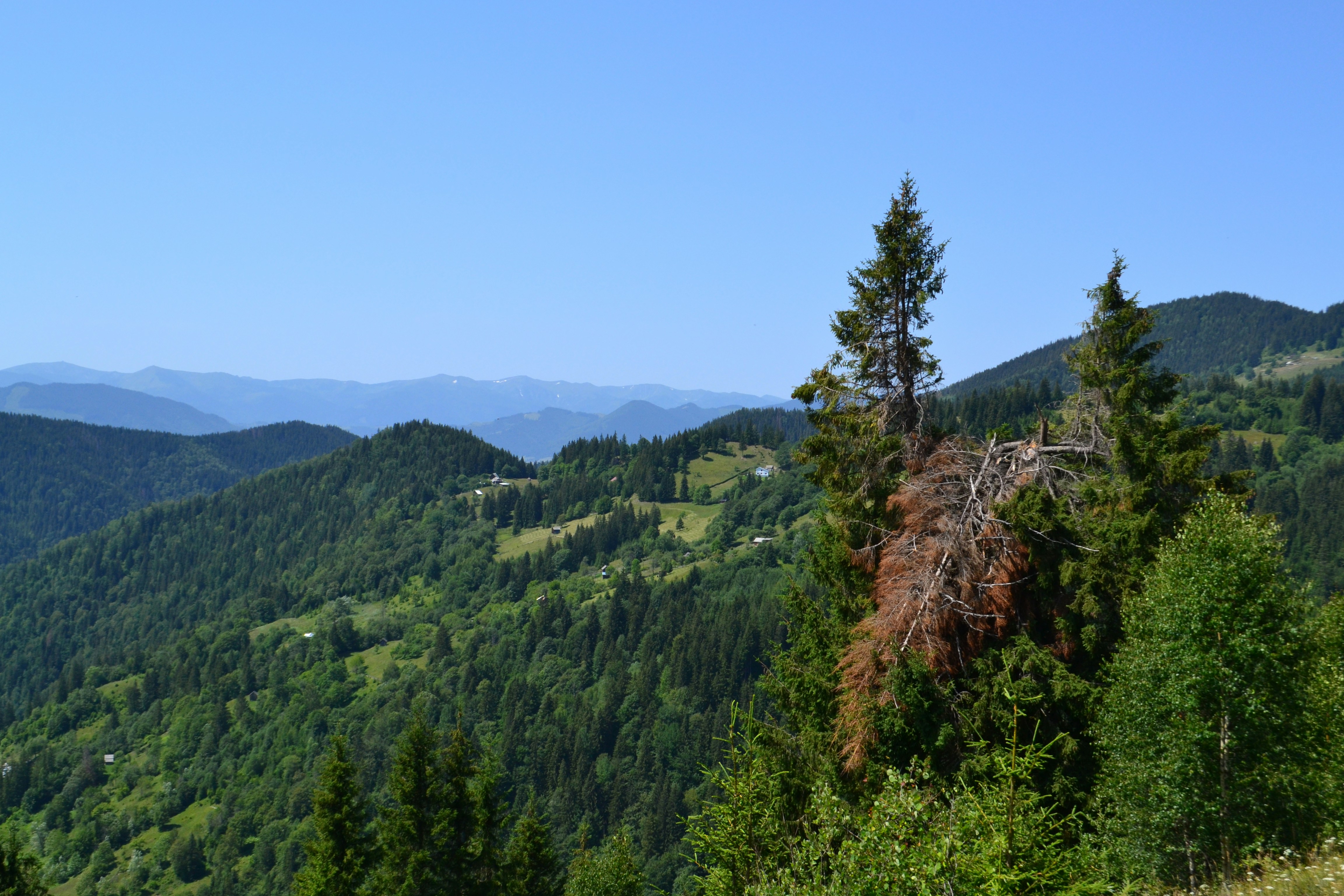 Photo by vlad_orient