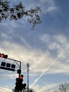 A traffic light with red signals is positioned at the left below center of the image against a backdrop of partly cloudy skies. There are visible signs attached to the traffic light, featuring text. Above, tree branches with leaves extend into the frame from the top left corner. In the background, a tall communication tower rises, blending into the scenic sky filled with soft, wispy clouds.
