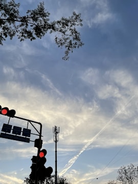A traffic light with red signals is positioned at the left below center of the image against a backdrop of partly cloudy skies. There are visible signs attached to the traffic light, featuring text. Above, tree branches with leaves extend into the frame from the top left corner. In the background, a tall communication tower rises, blending into the scenic sky filled with soft, wispy clouds.