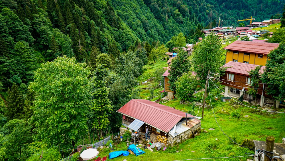 a group of houses in a wooded area