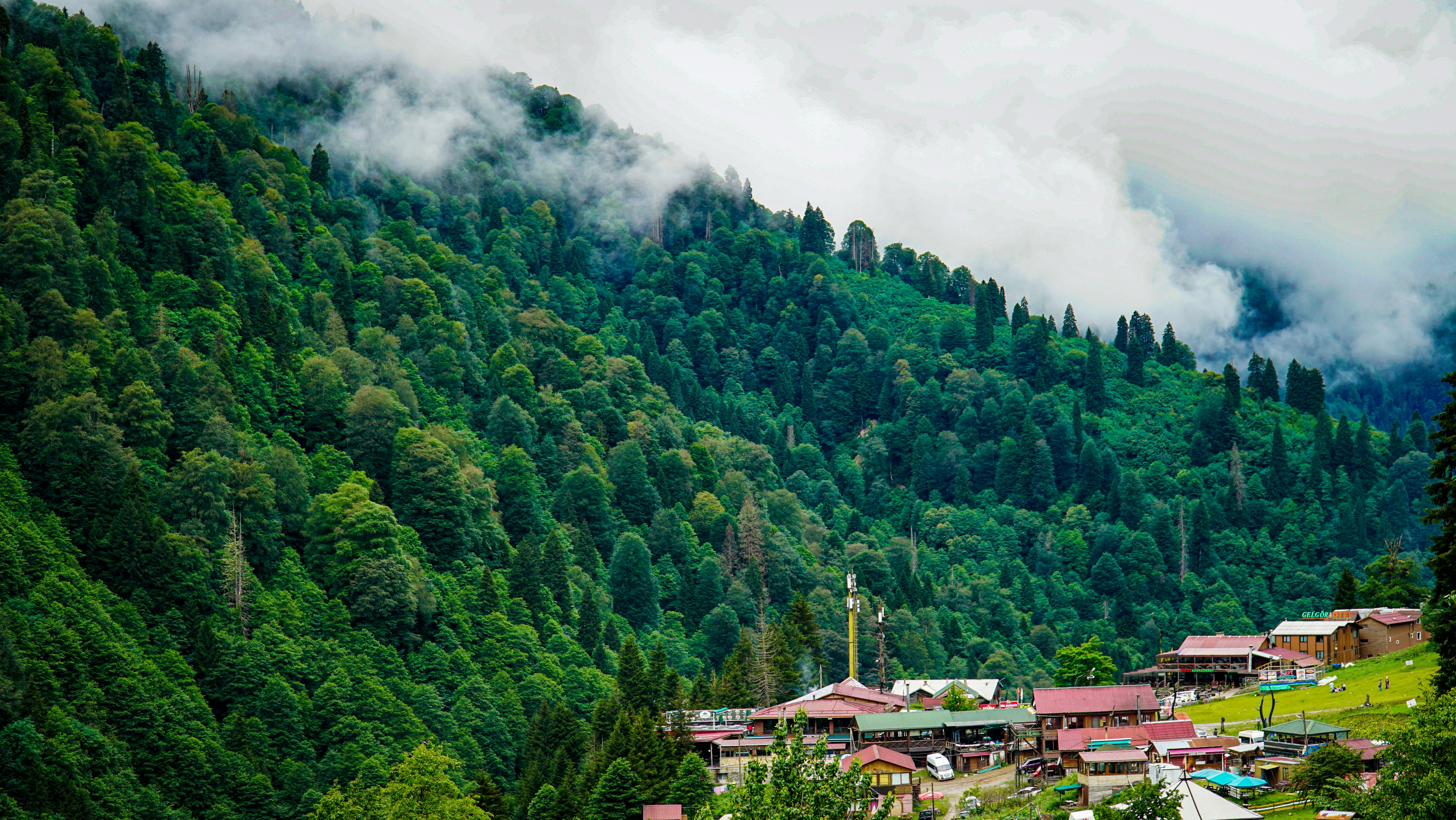 a green hillside with buildings and trees