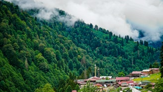 Lush green forested hills are partially shrouded in mist, creating a serene and tranquil atmosphere. Nestled at the base of the hills is a small settlement with several buildings, some with red roofs. The landscape is vibrant with thick trees and a cloudy sky, giving a sense of elevation and natural beauty.