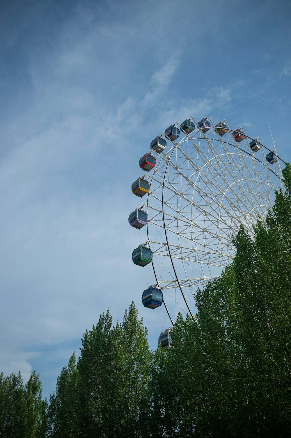 a ferris wheel with trees around it