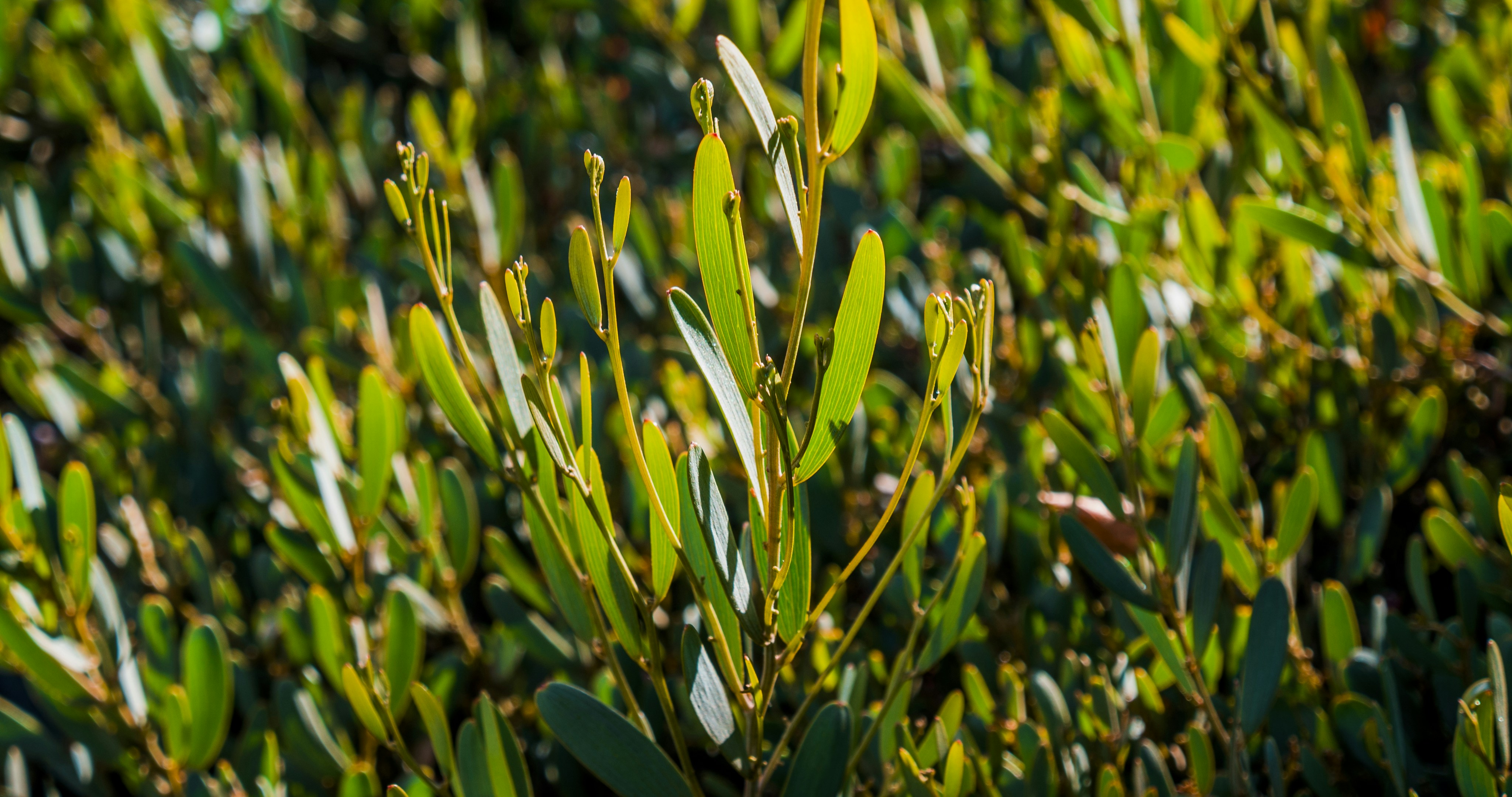 Photo by _nickwright_