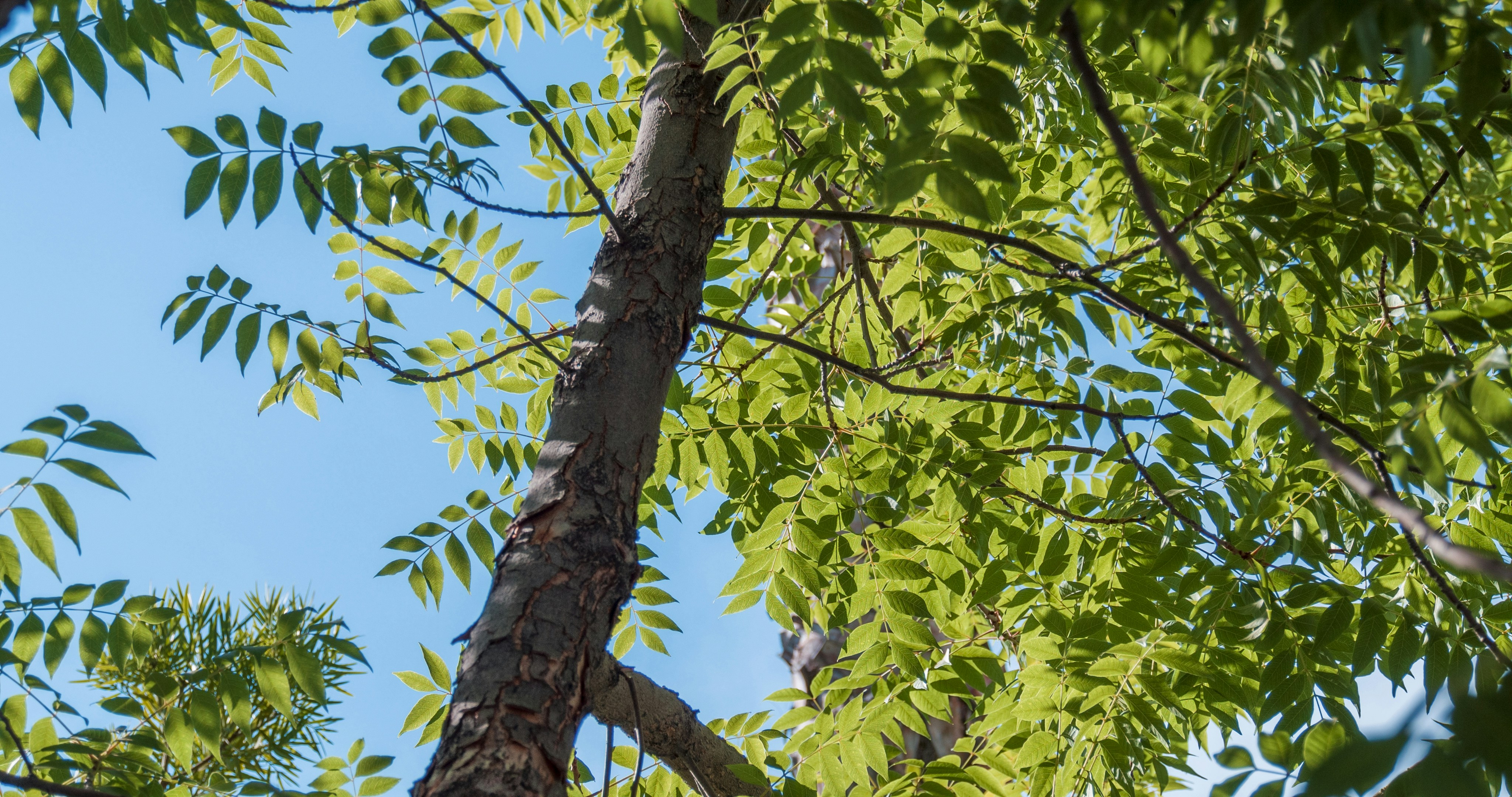 Photo by _nickwright_