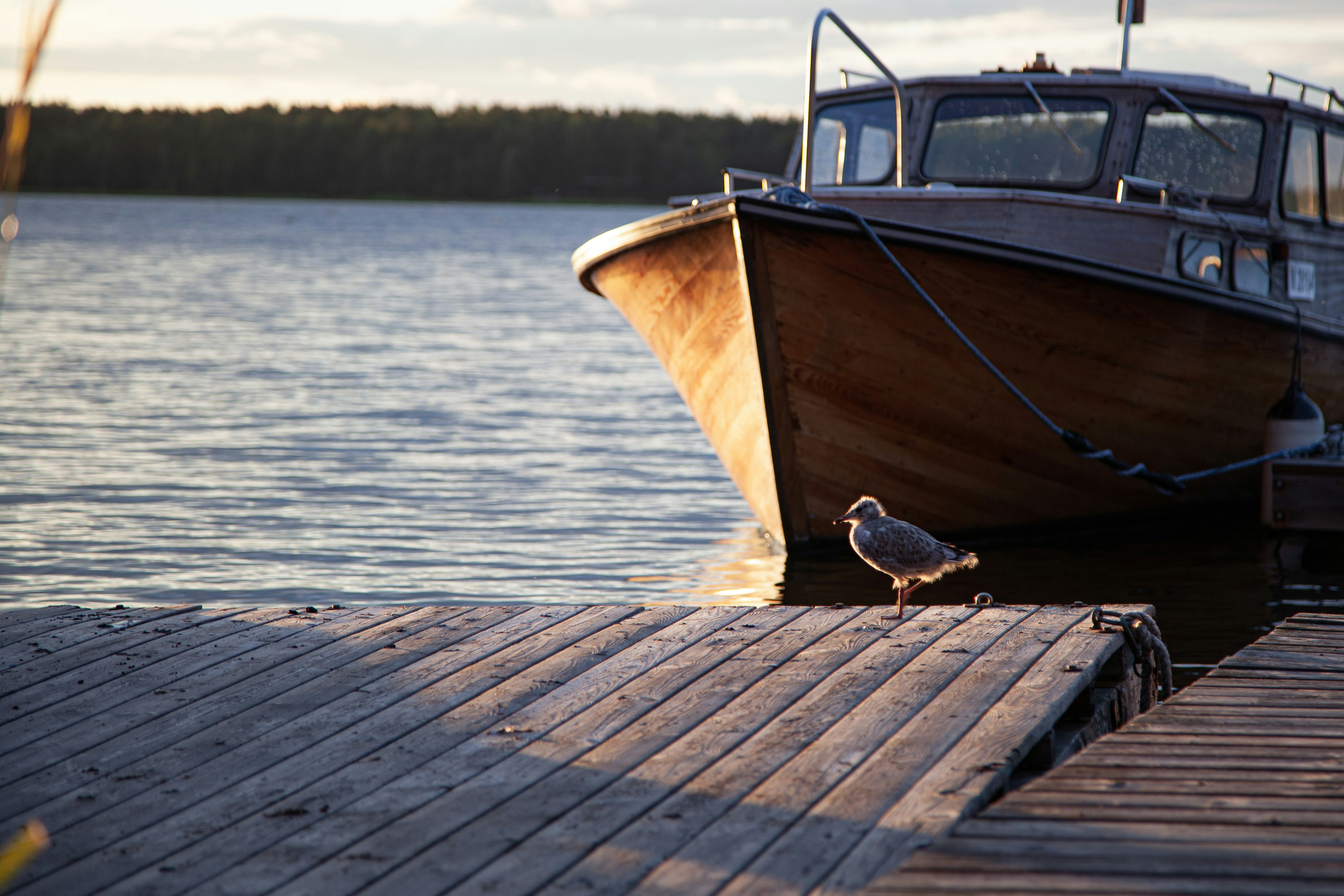 Photo by noitadigital