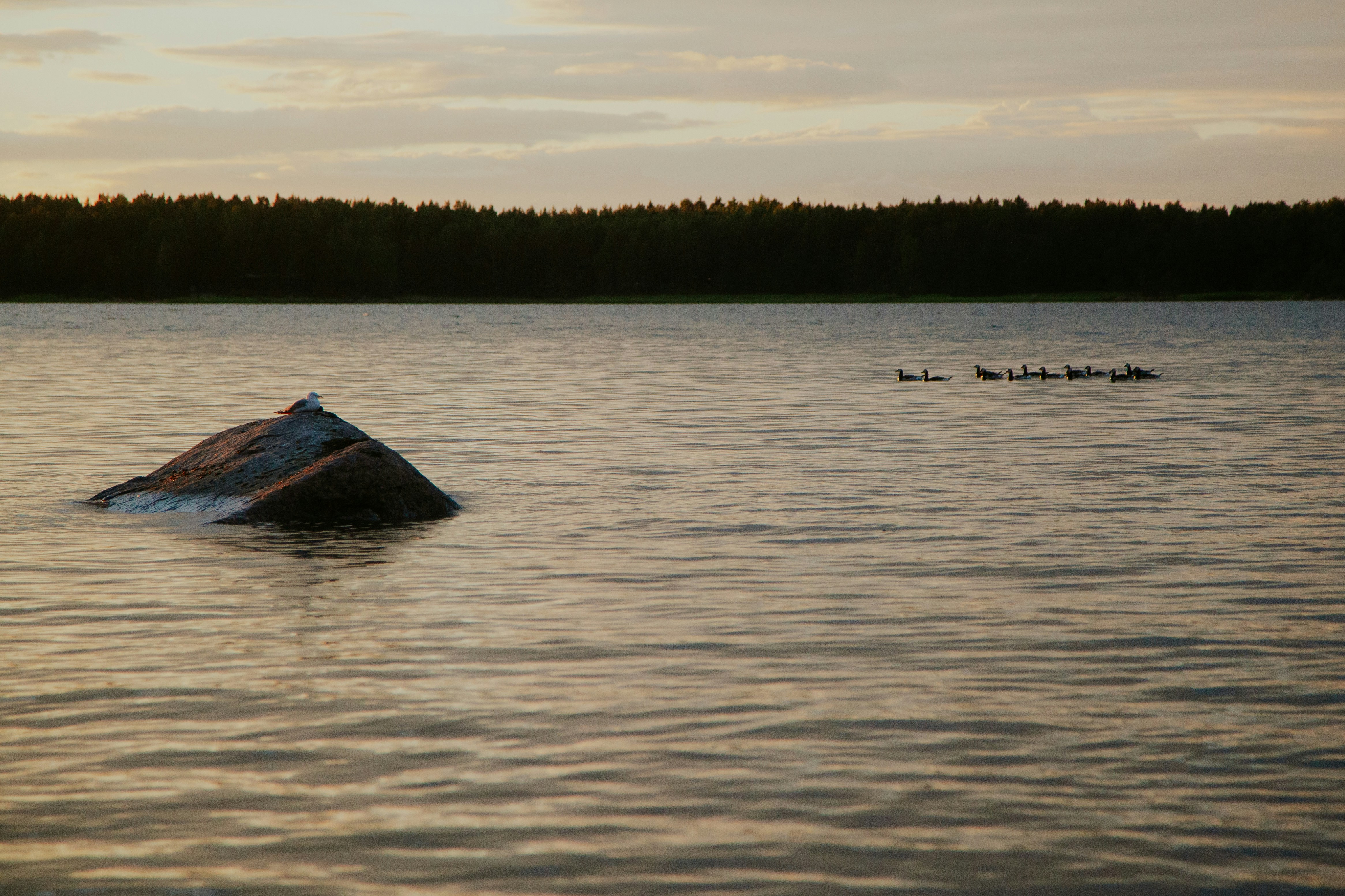 a group of people on a rock in the middle of a lake