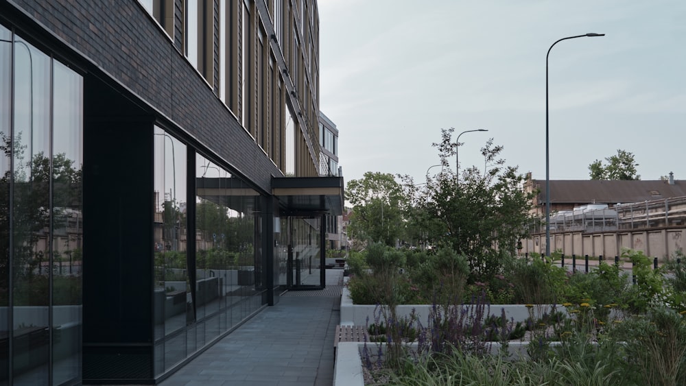 a walkway between buildings