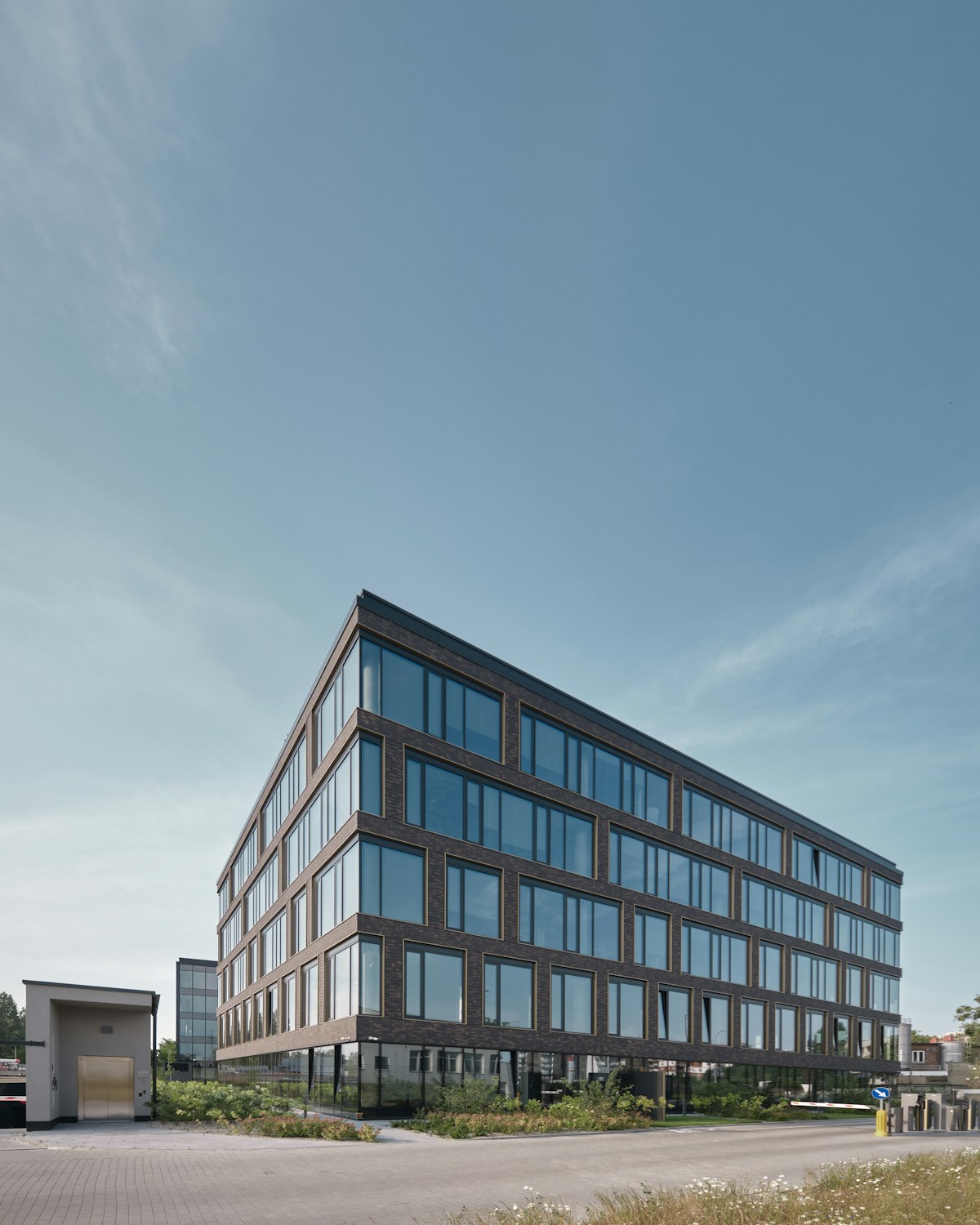 Render Softwashing