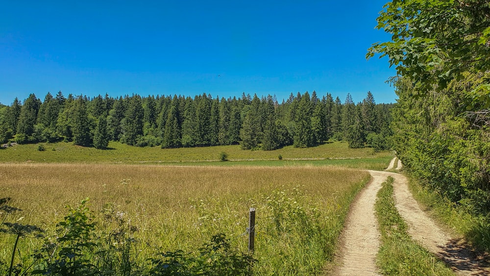 a dirt road through a field