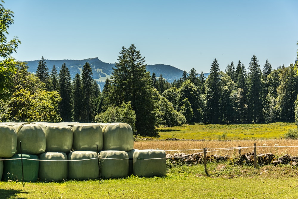 a row of white couches in a grassy field with trees and mountains in the background