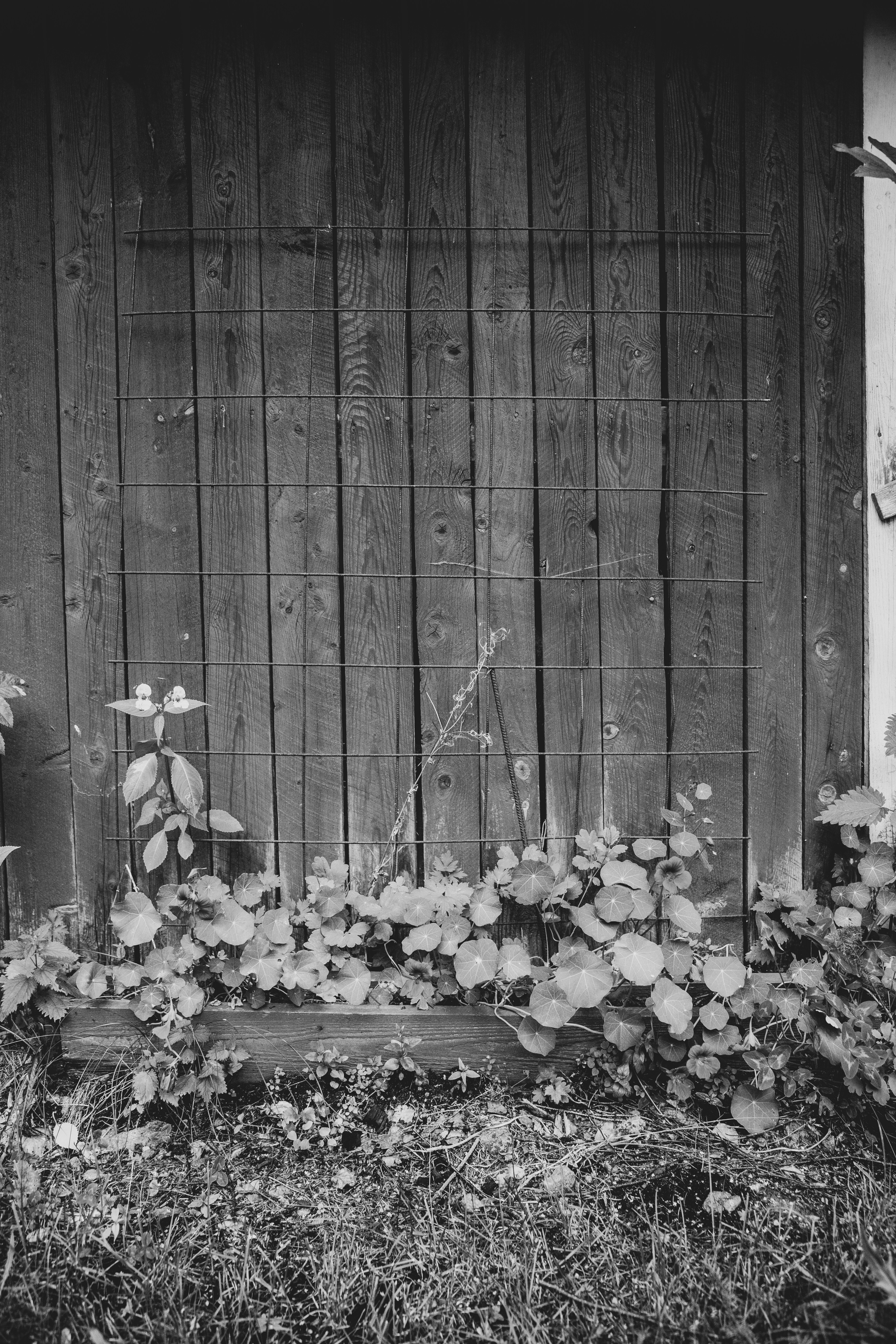 Photo by noitadigital