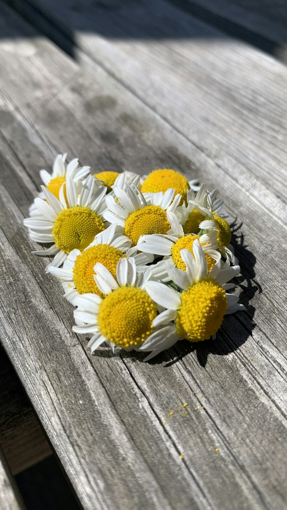 a bouquet of flowers