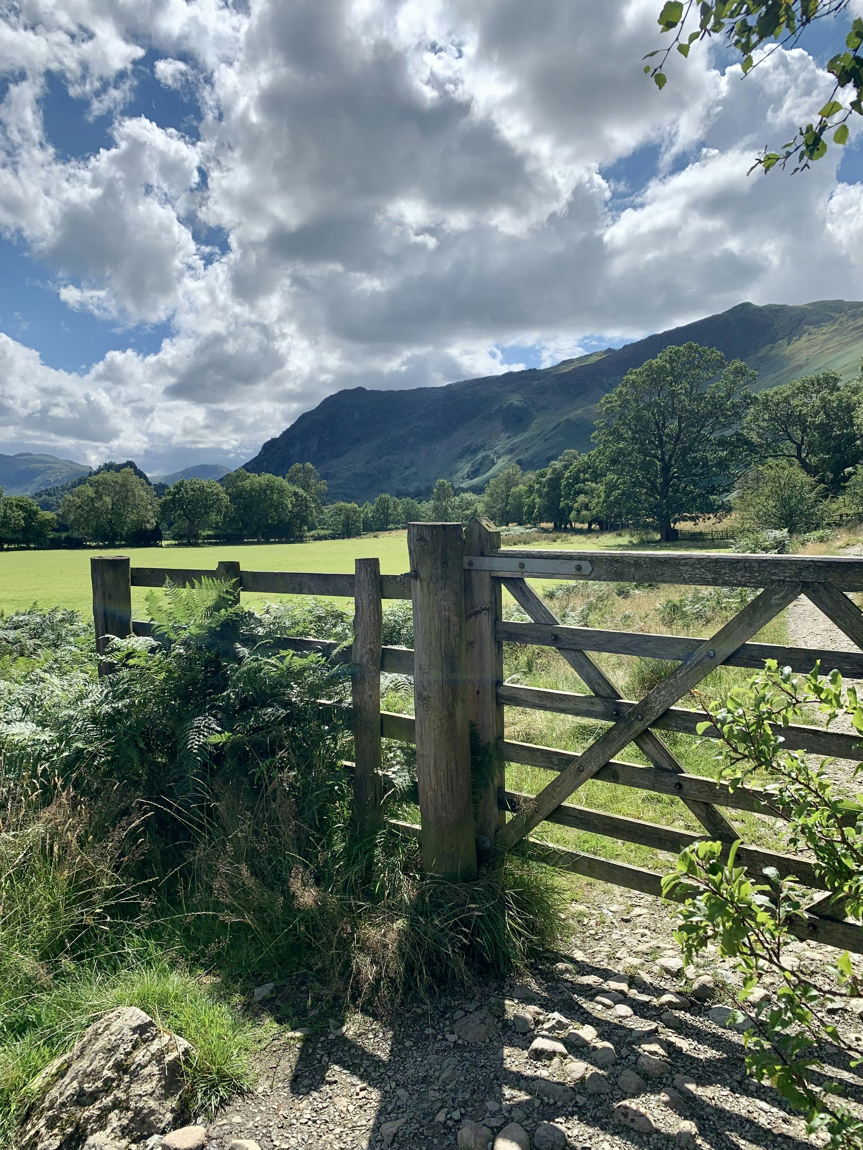 A wooden fence in a field photo – Free Outdoors Image on Unsplash