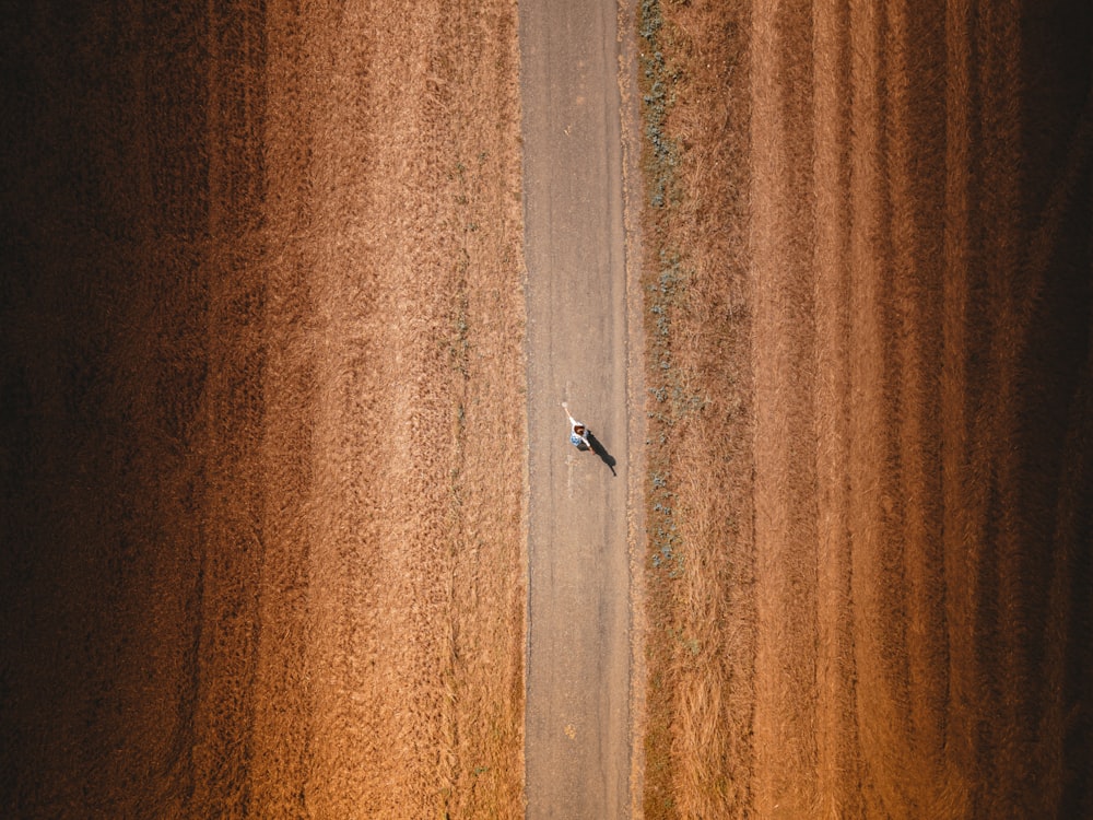 Ein Vogel steht auf einem Baum