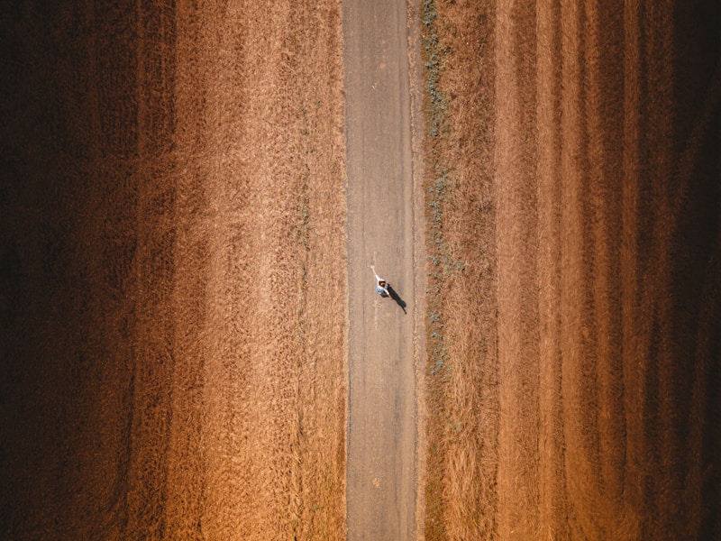 Autonomy