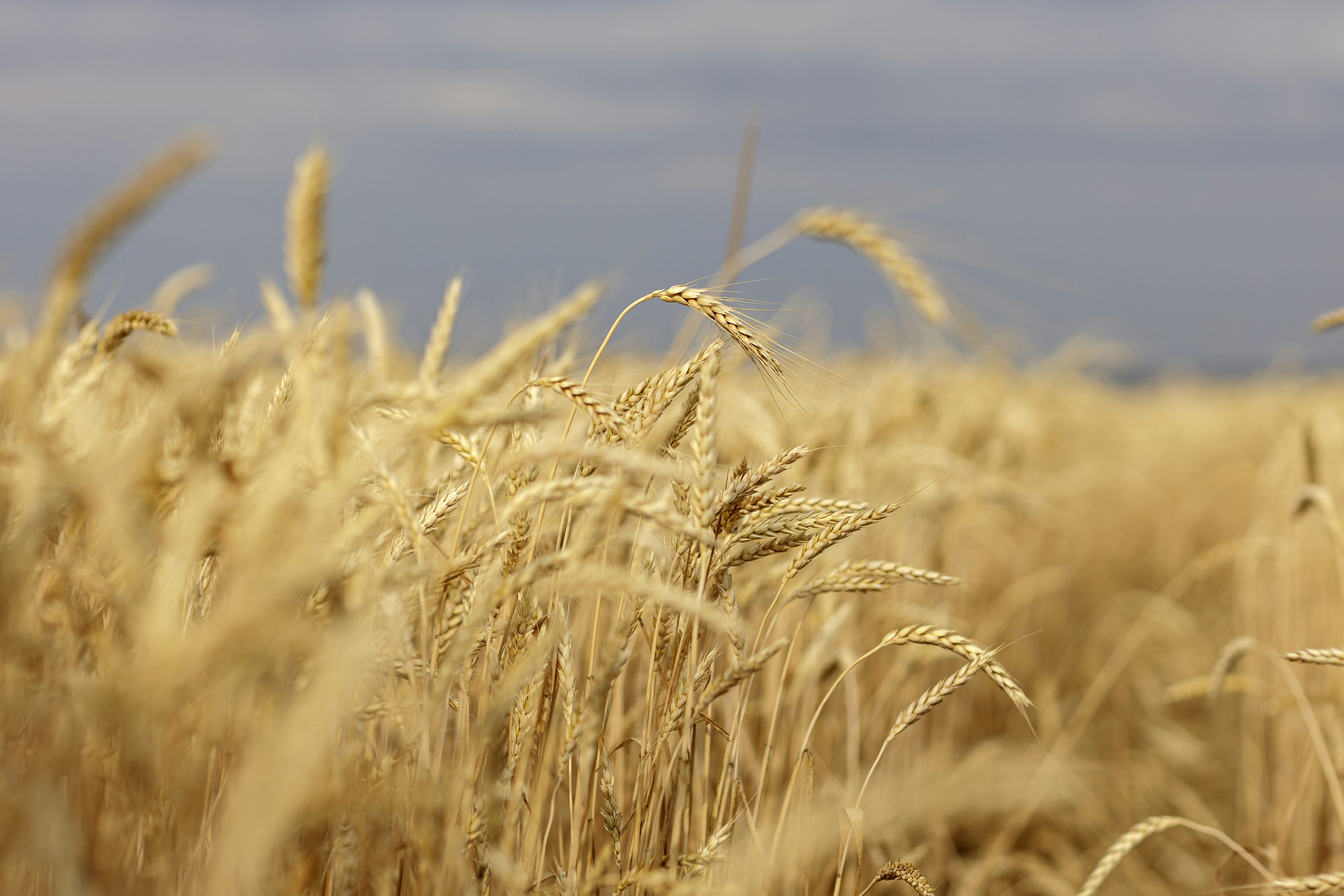 Photo by malygos6000