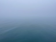 A minimalist seascape with muted tones reflecting a calm, foggy morning by the shore.