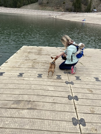 A person kneels on a wooden dock by a lake, interacting with a small dog on a leash. Another small dog is carried in a backpack on the person's back. In the background, there is a lake with people near the shore and a forested hillside.