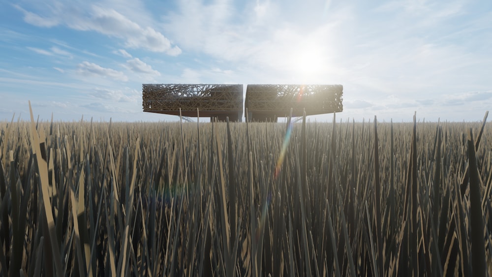 a field of wheat with the sun shining through the clouds