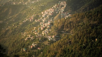 A hilly landscape with numerous houses scattered across a lush, green forested area. The hillsides are densely packed with trees, and the houses are nestled among them. There is a sense of tranquility as the setting sun casts a warm glow over the terrain, highlighting the natural beauty of the environment.
