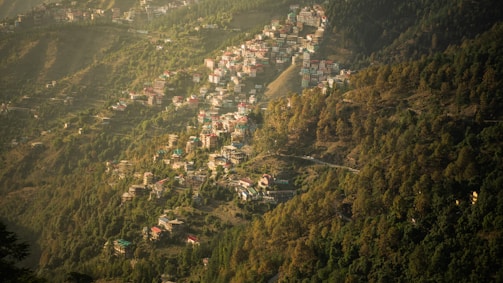 A hilly landscape with numerous houses scattered across a lush, green forested area. The hillsides are densely packed with trees, and the houses are nestled among them. There is a sense of tranquility as the setting sun casts a warm glow over the terrain, highlighting the natural beauty of the environment.