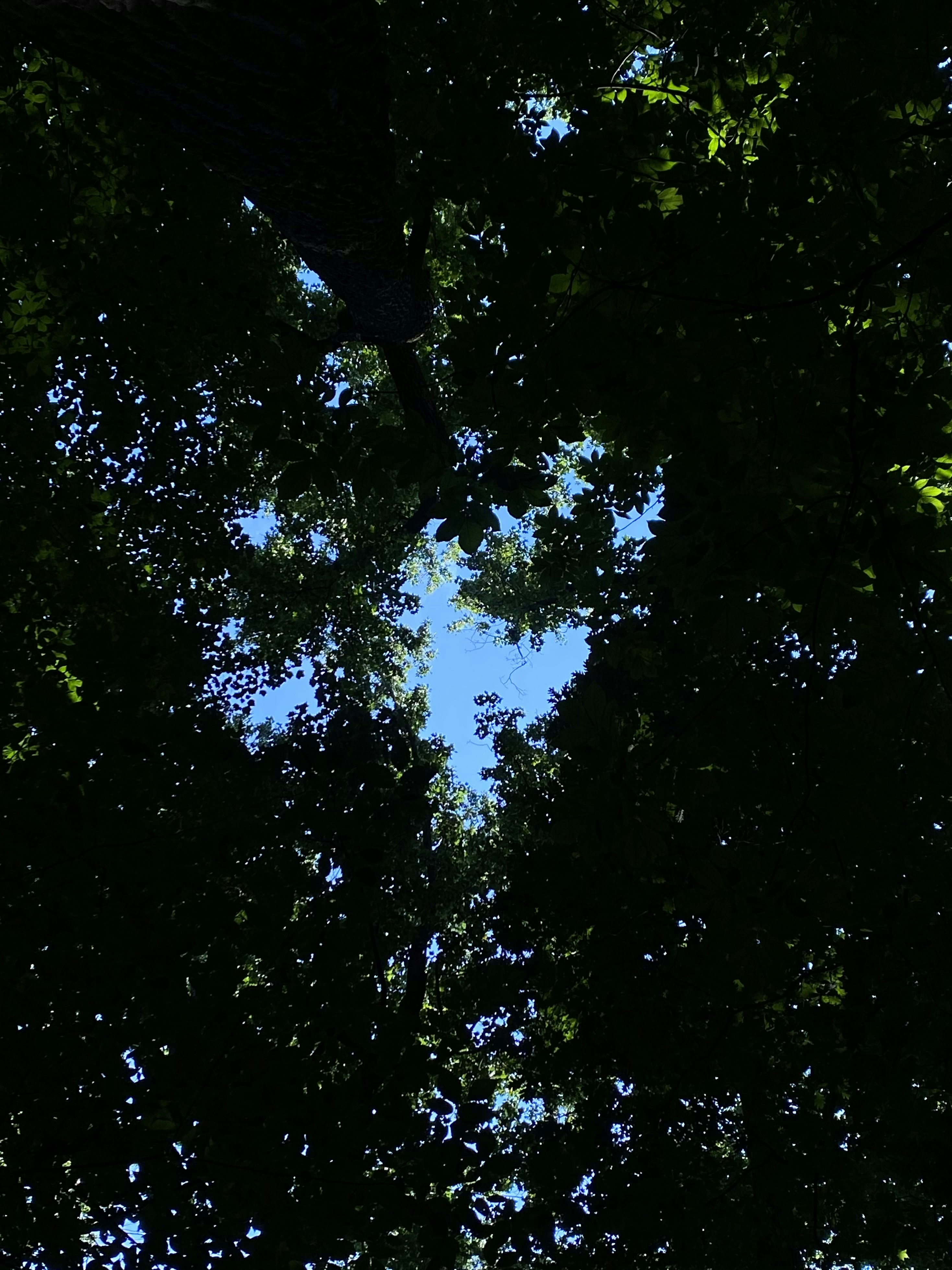 Photo by lazy_lazy_man