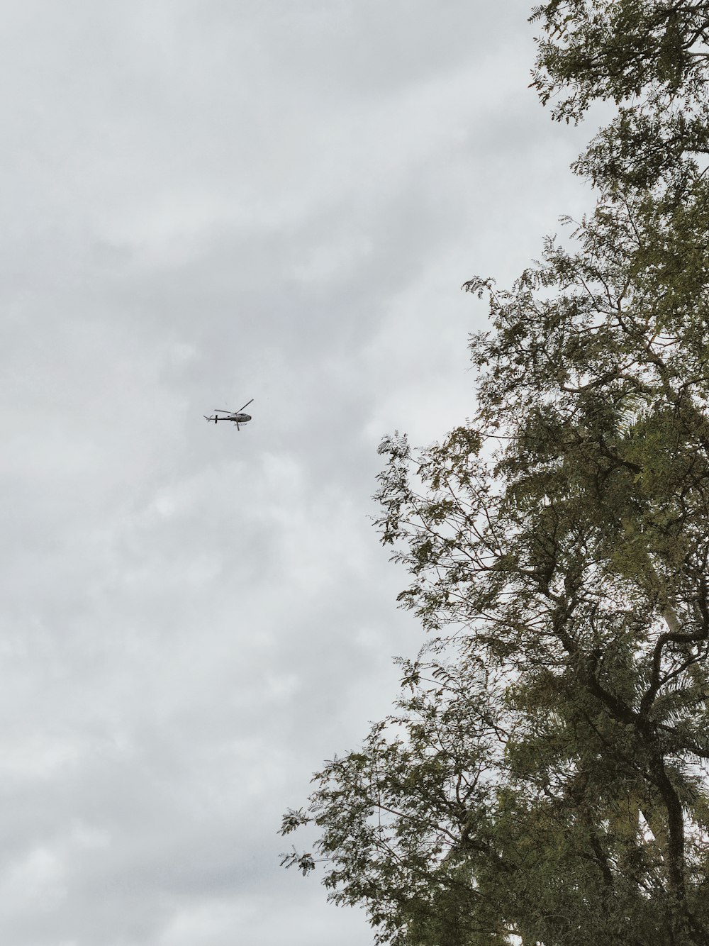 a plane flying over trees