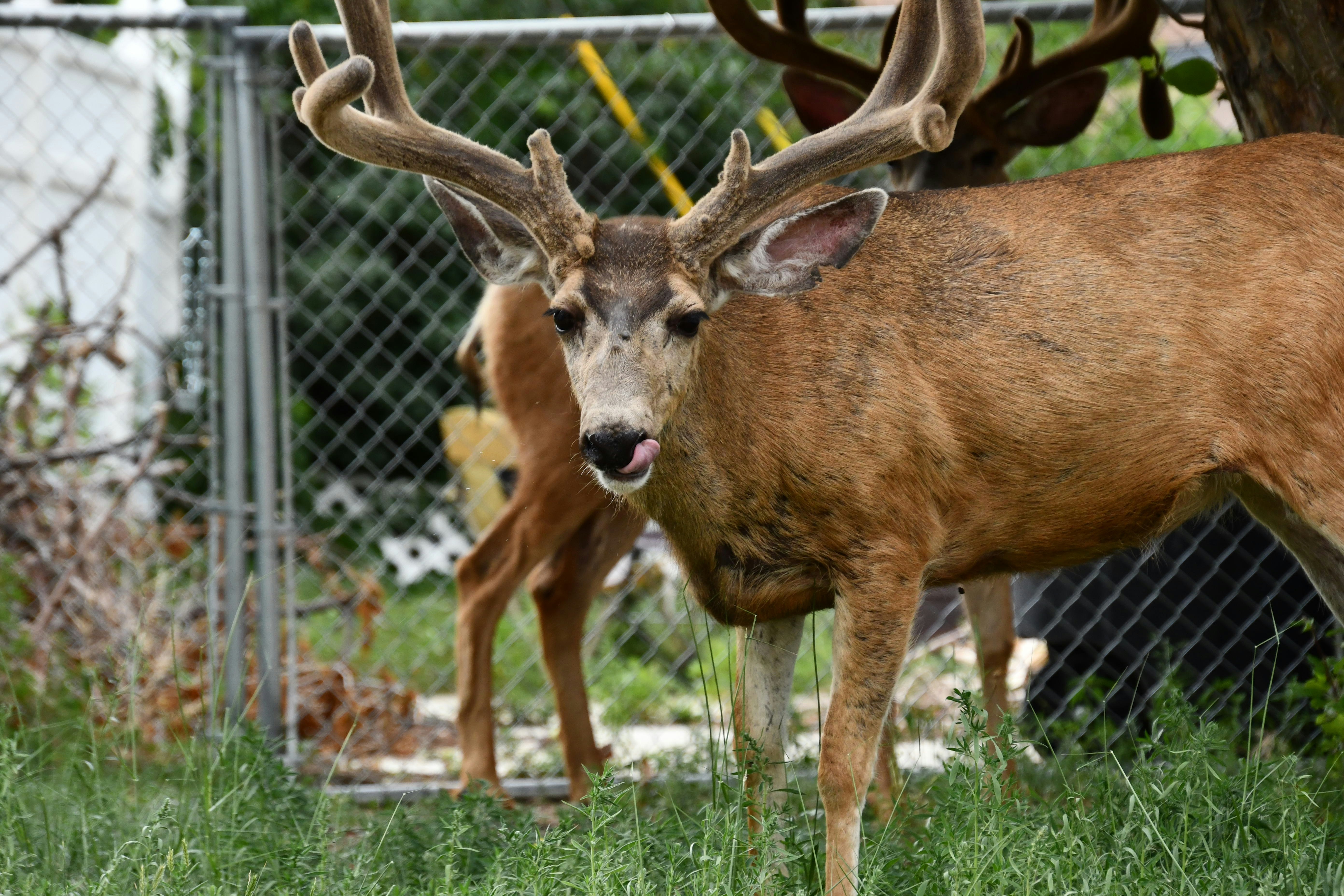 Photo by michael_barber