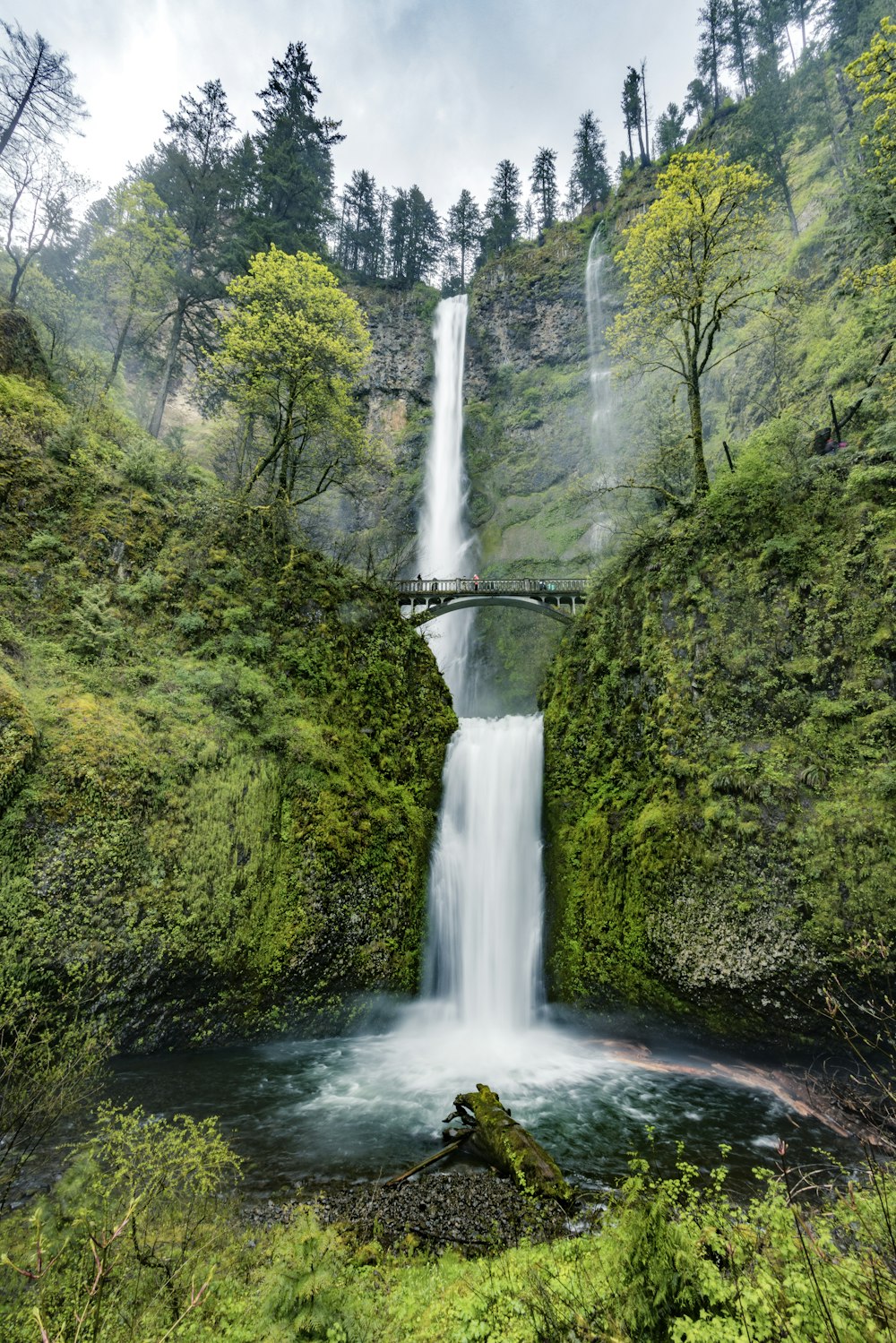 a waterfall in a forest