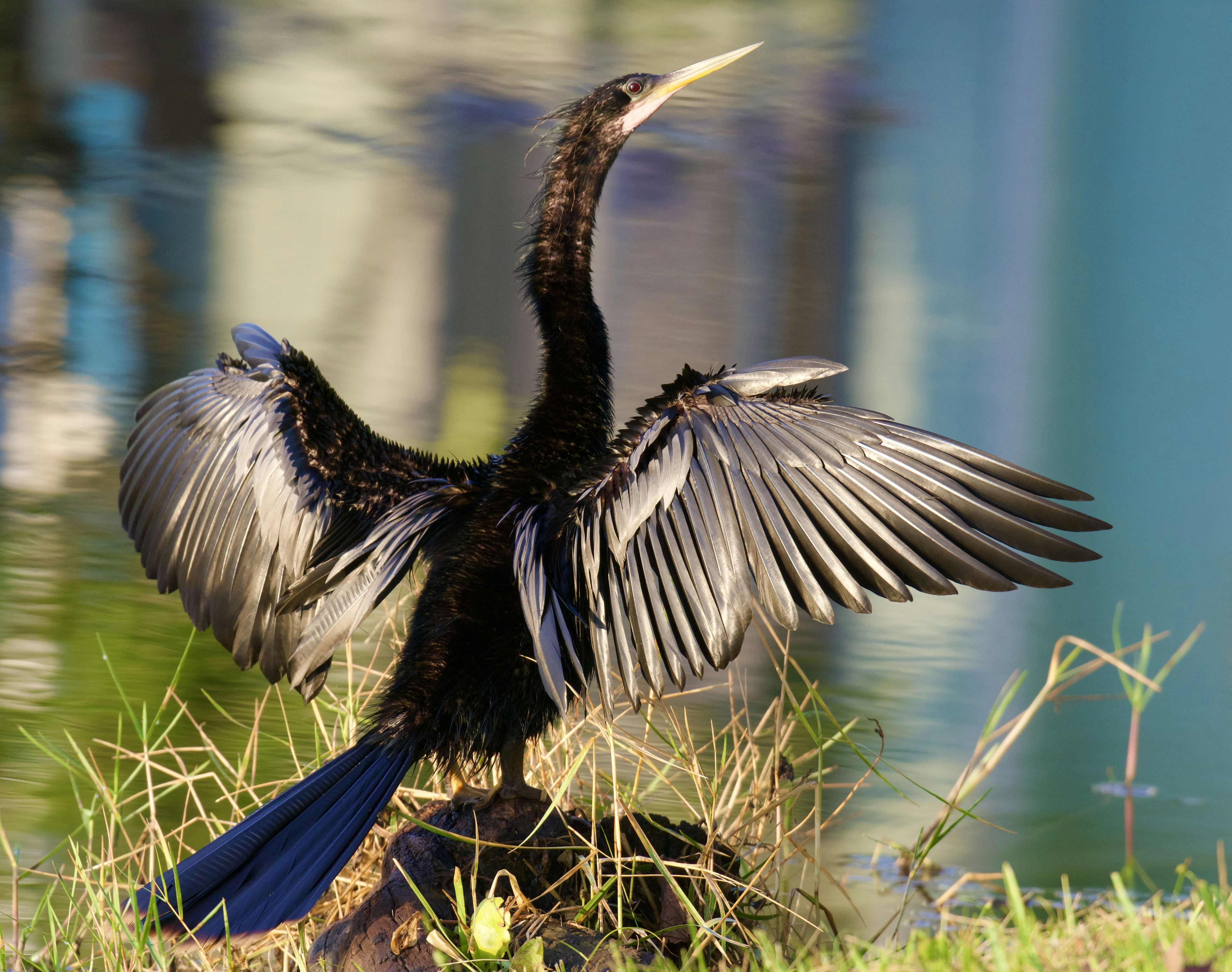 Photo by juliana_chapman