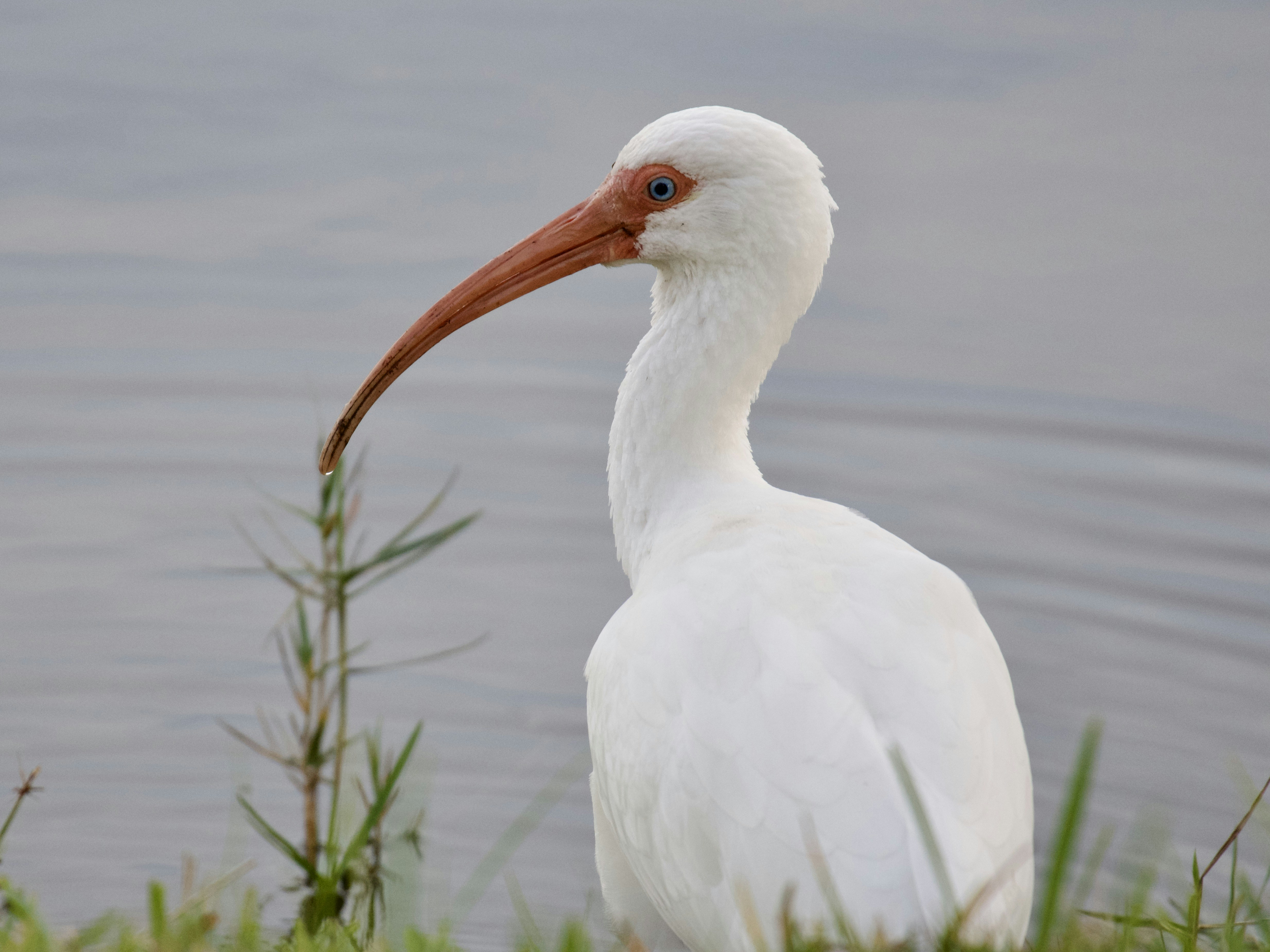 Photo by juliana_chapman