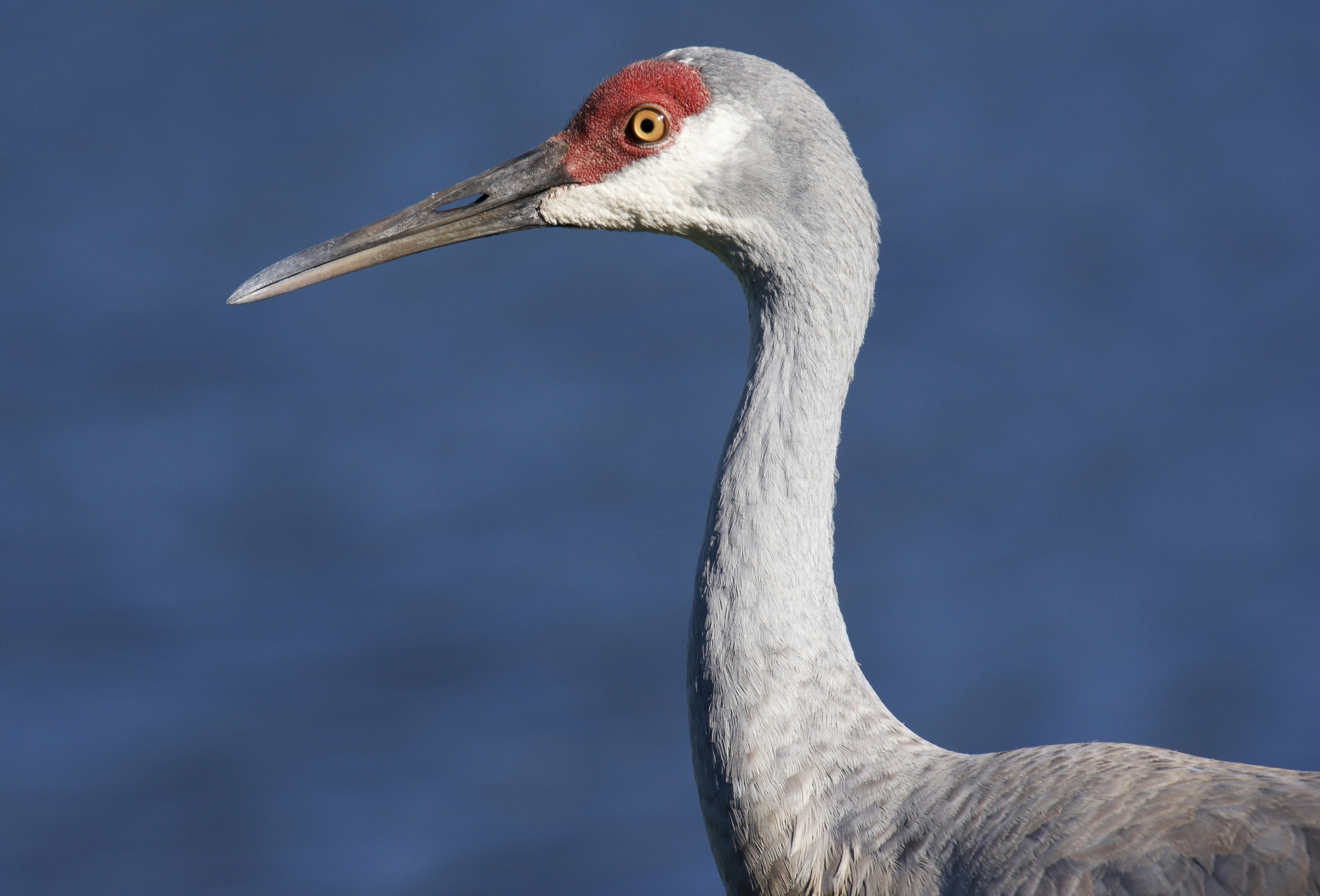 Photo by juliana_chapman