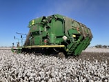 A large green agricultural machine navigating through a vast field of white cotton plants under a clear blue sky.