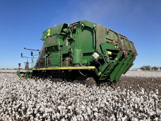 A large green agricultural machine navigating through a vast field of white cotton plants under a clear blue sky.