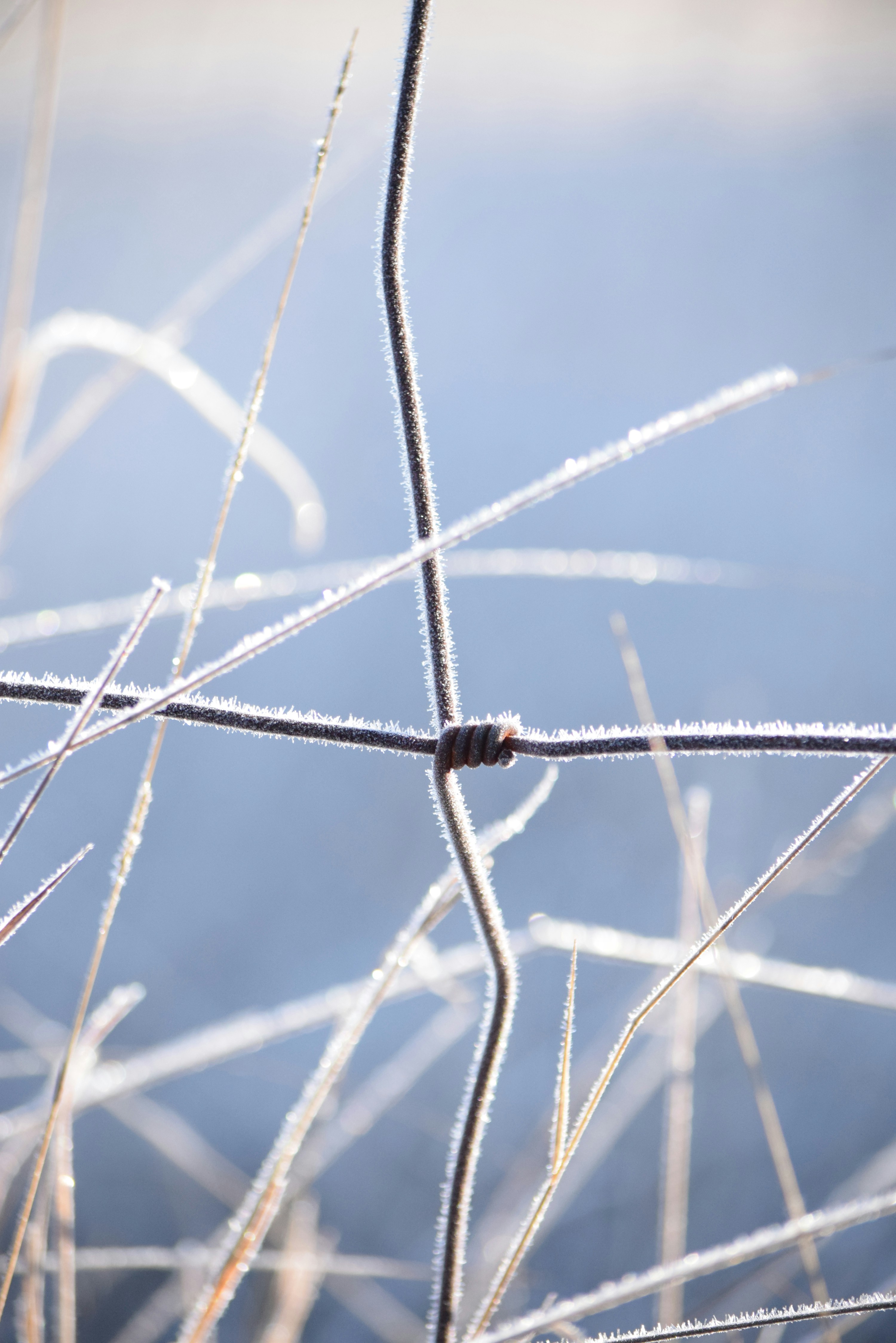 Photo by ch_photography