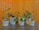 Several houseplants in white pots are arranged on a dark wooden surface against a background of varnished wood paneling. The plants have a variety of leaf shapes and sizes, adding a lively touch to the scene.