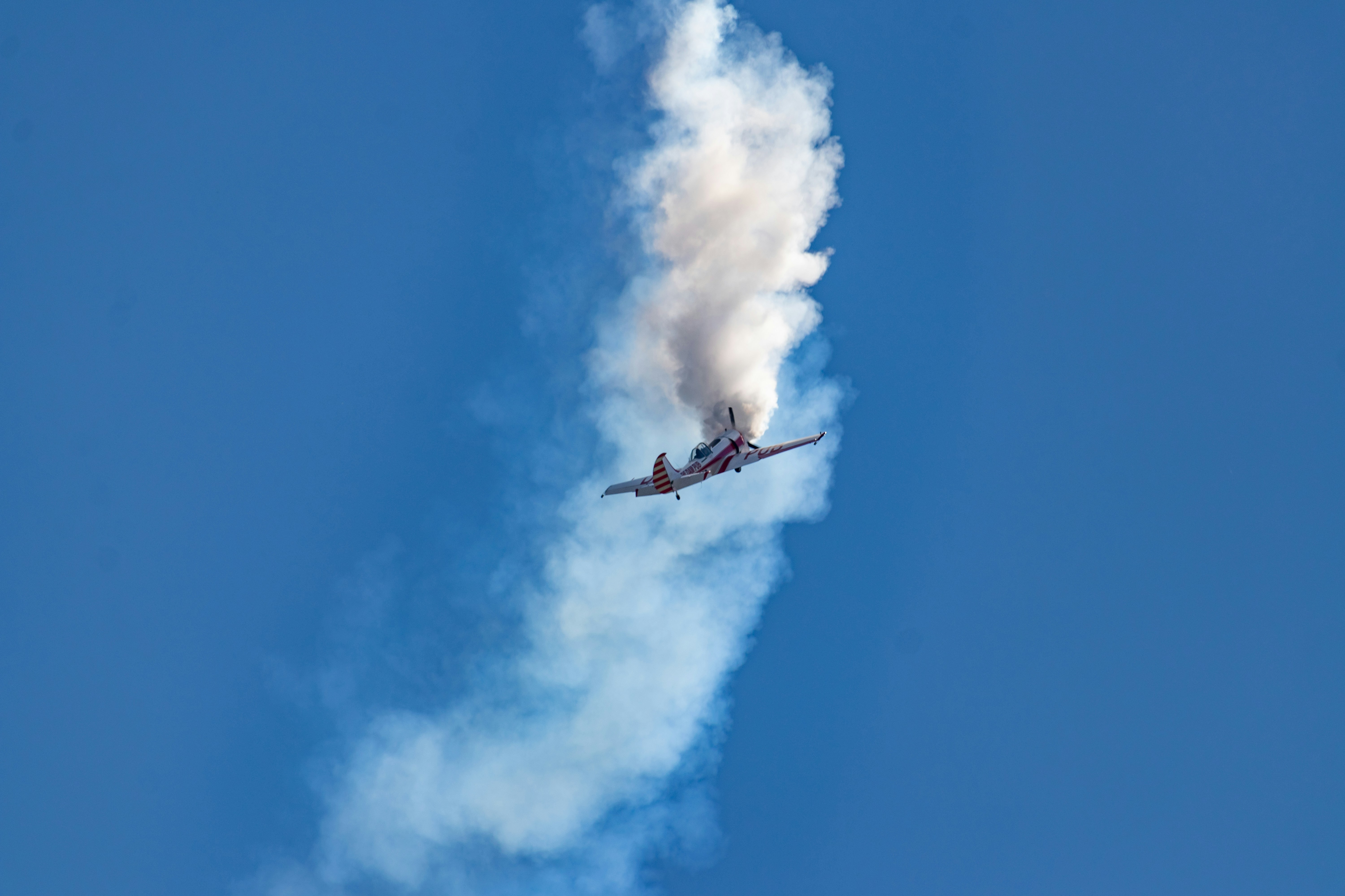 Photo by scatteredbitsoflight