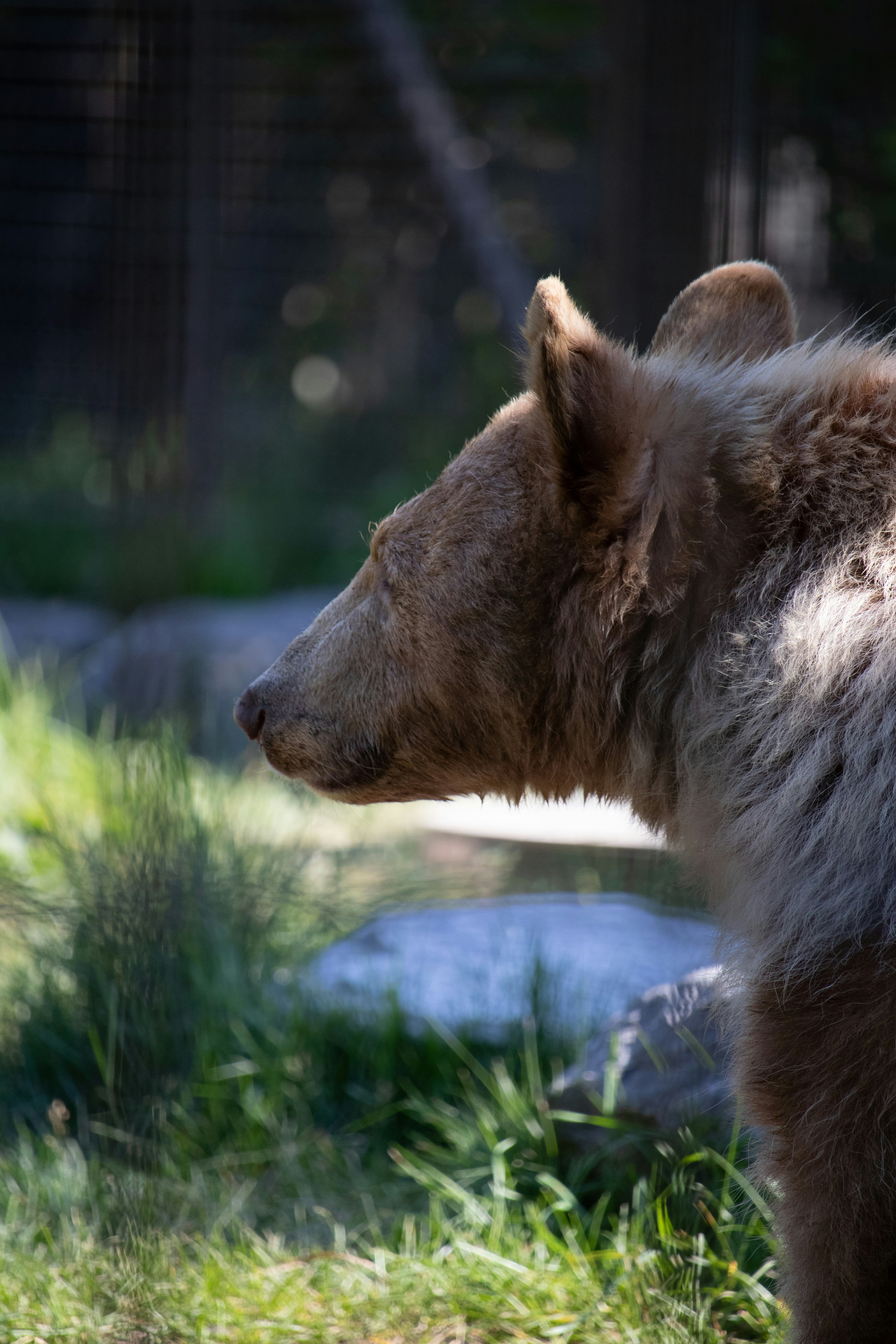 Photo by scatteredbitsoflight