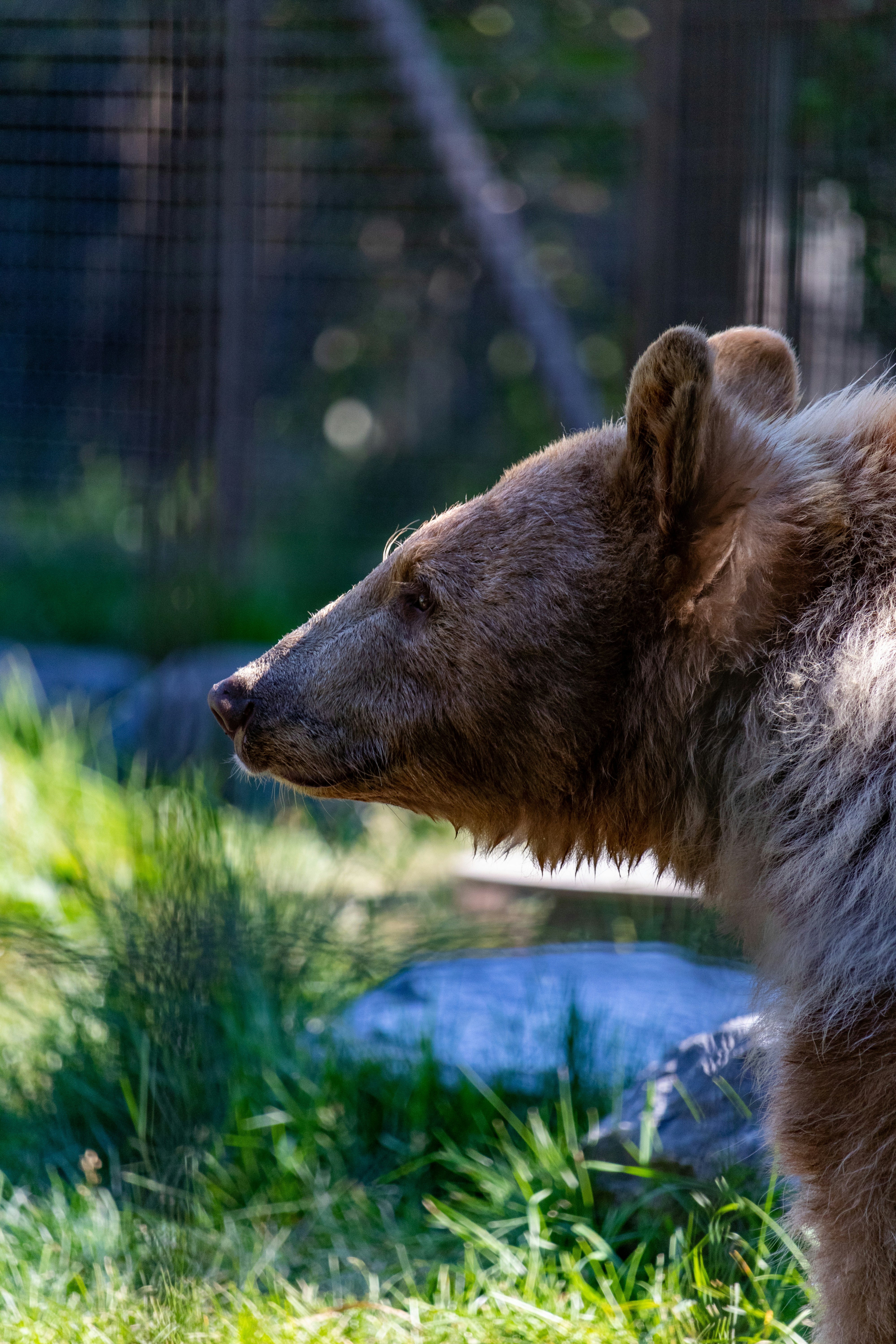 Photo by scatteredbitsoflight