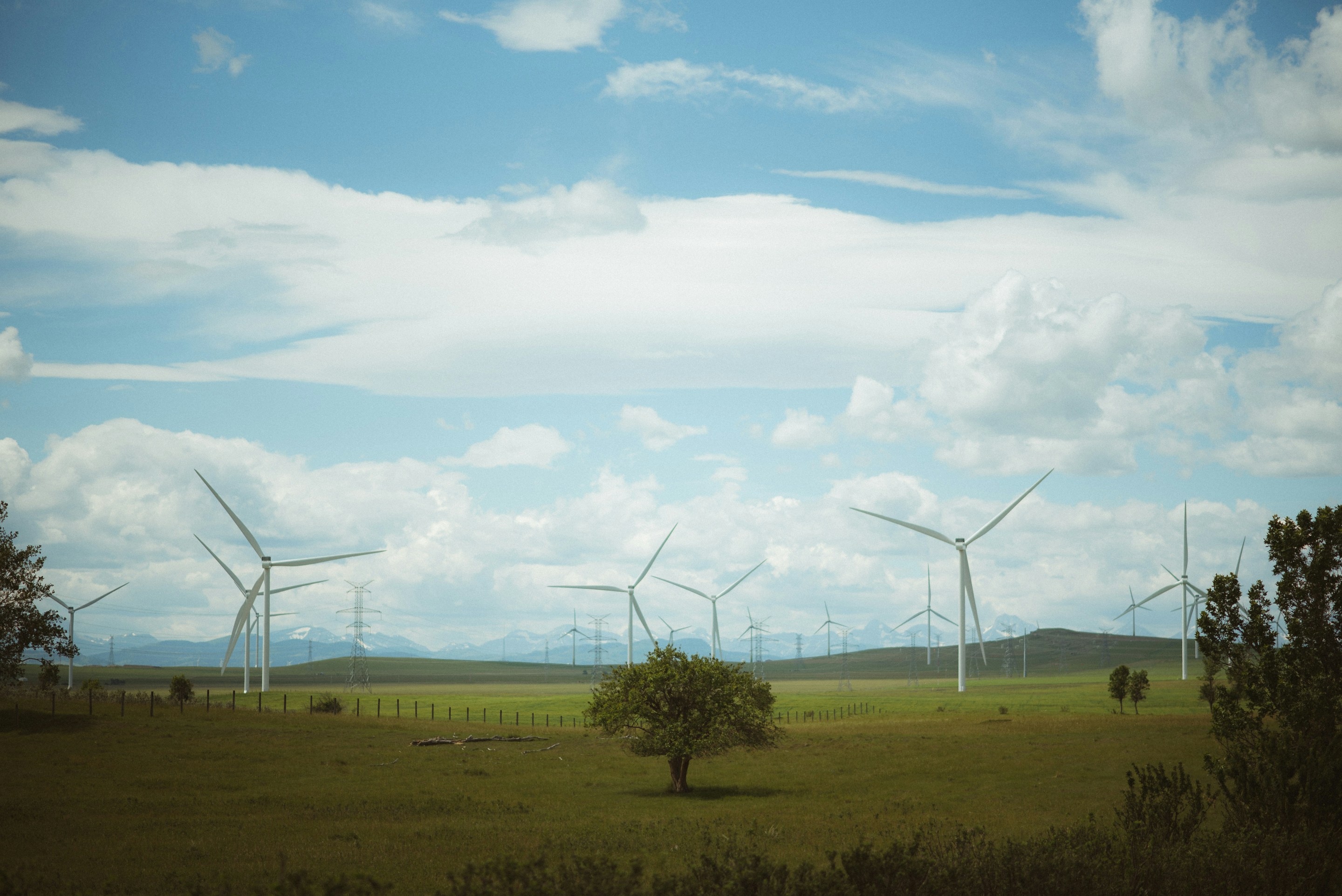 a field with windmills in it