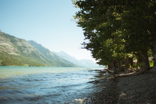 a body of water with trees and mountains in the background
