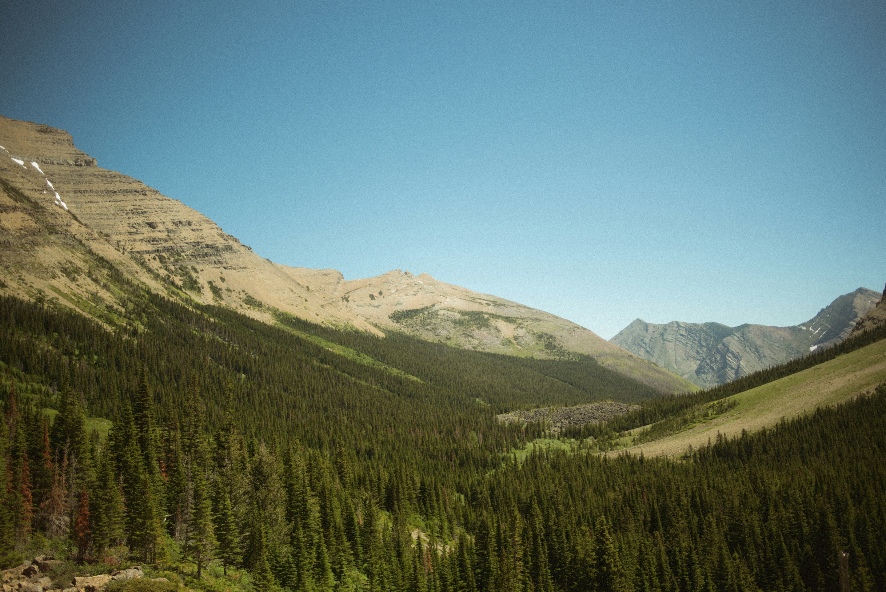 Photo by emilypenner19