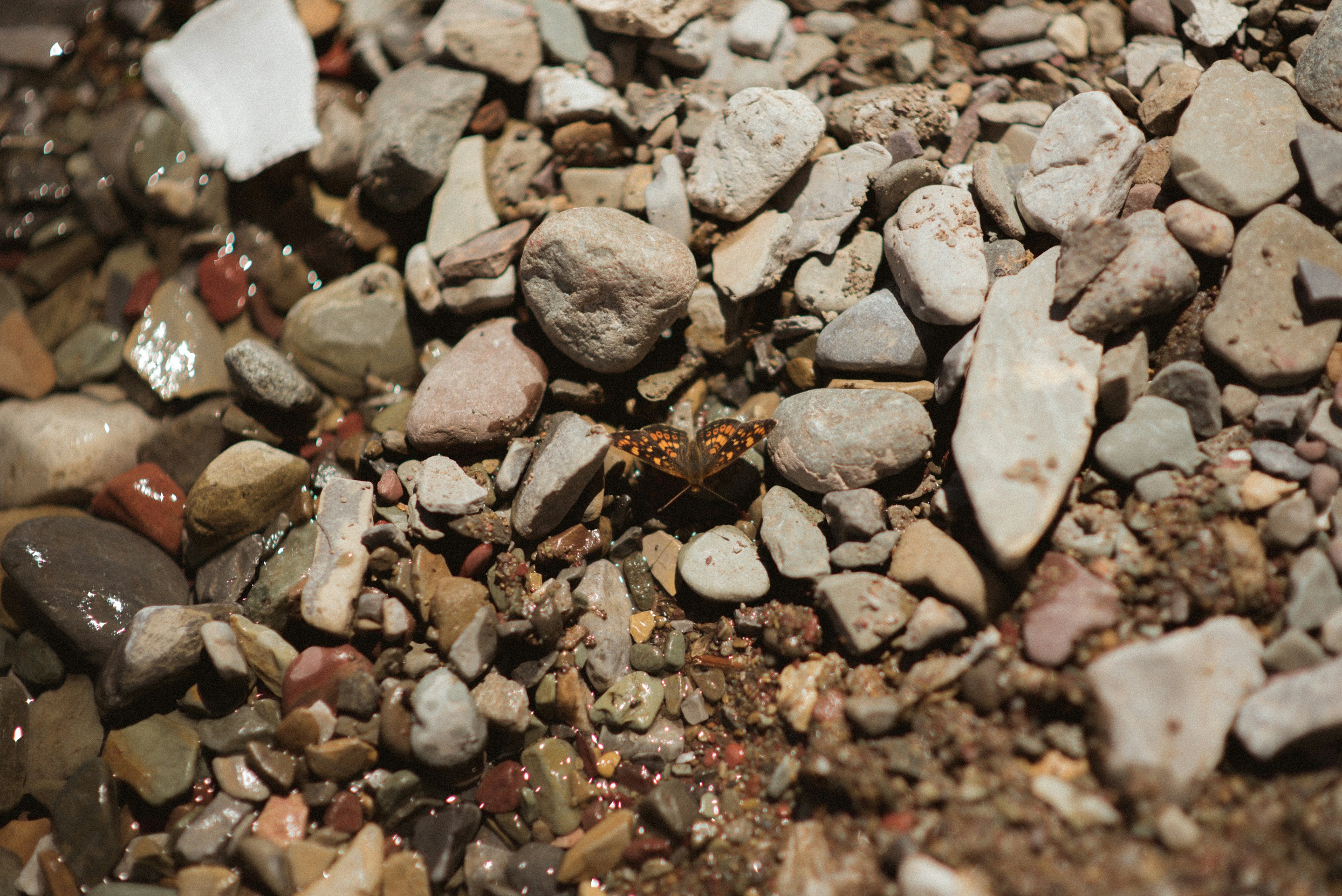 Photo by emilypenner19