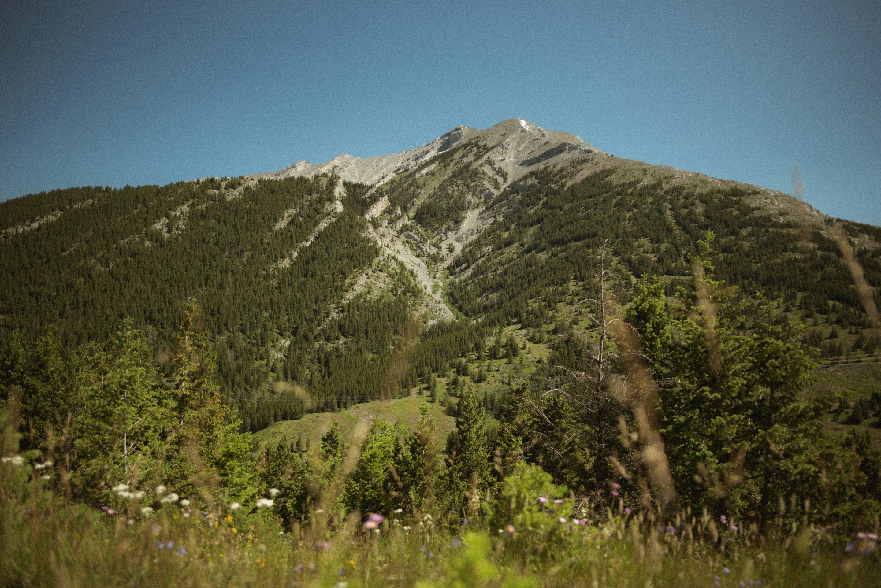 Photo by emilypenner19