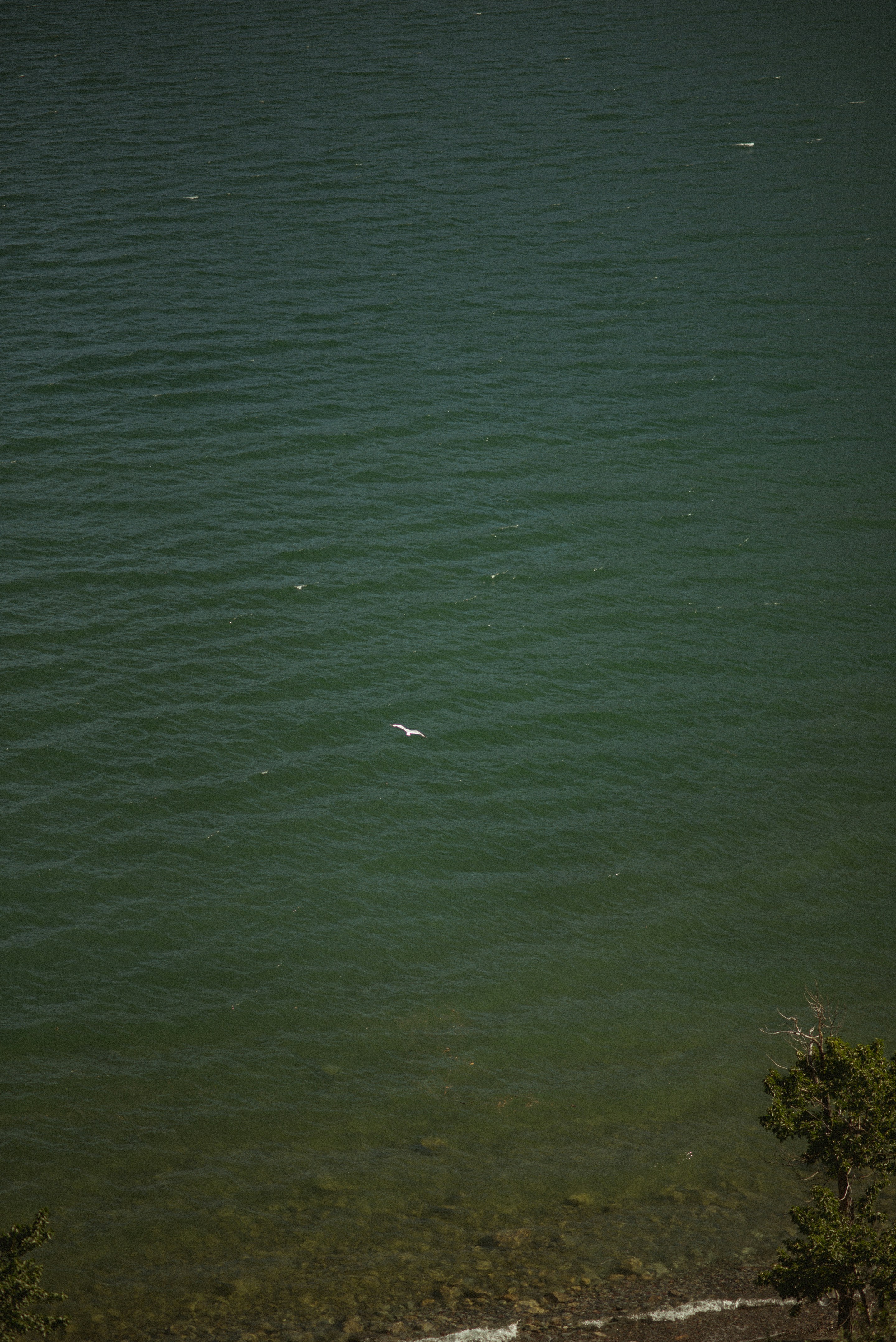 Photo by emilypenner19