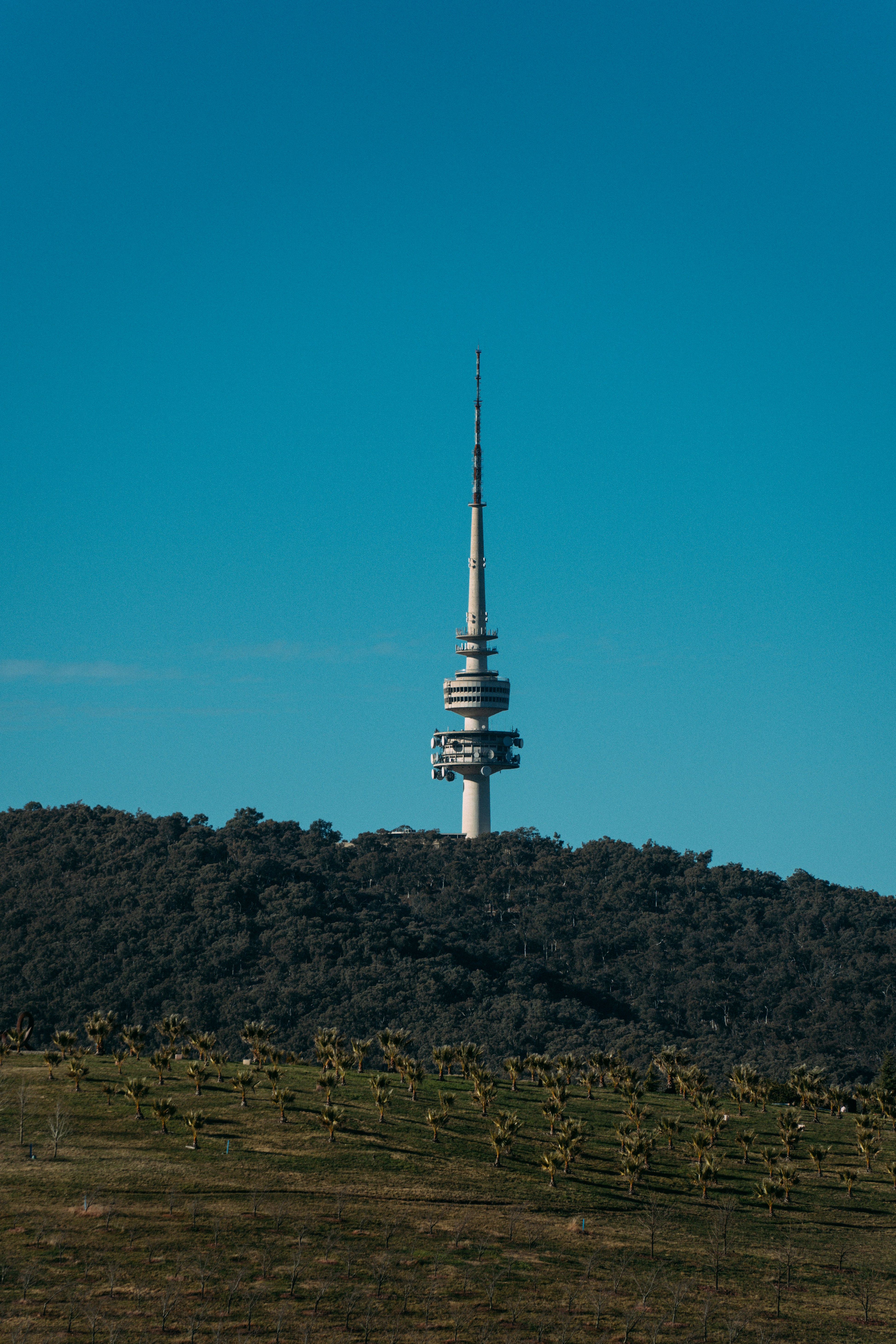 Photo by hassanzaheer_