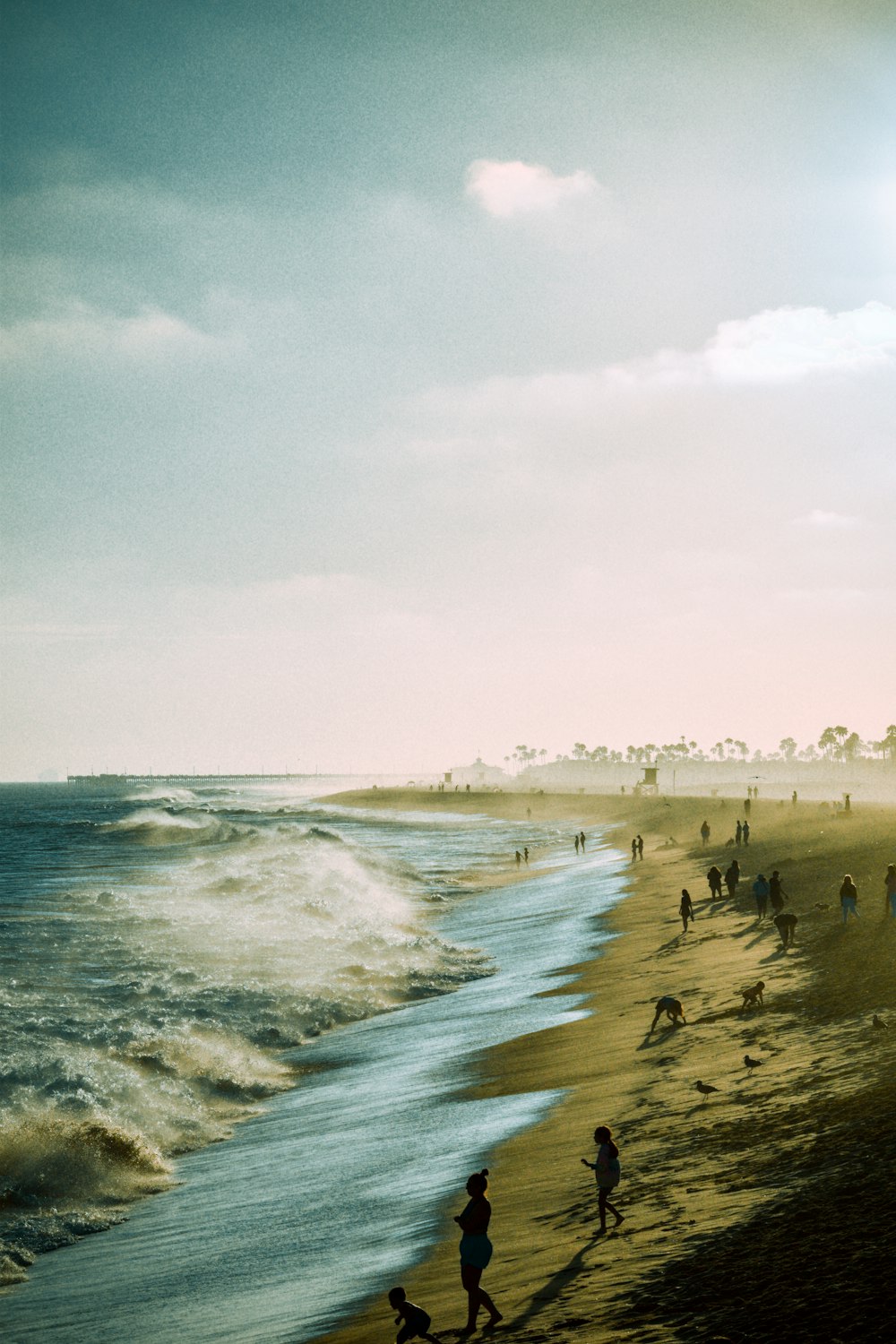 people on a beach