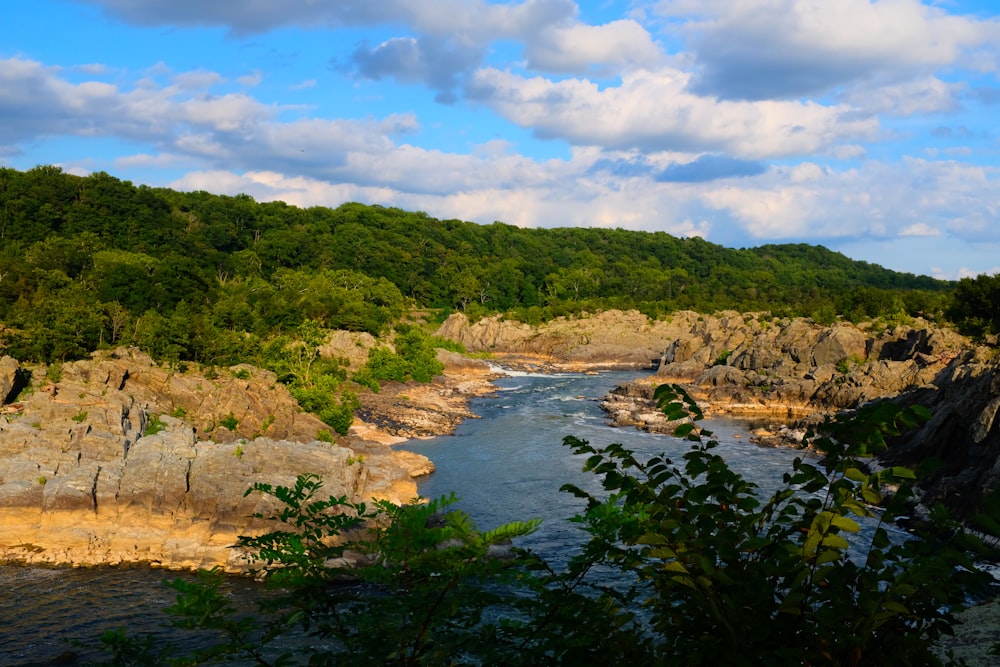 a river with rocks and trees